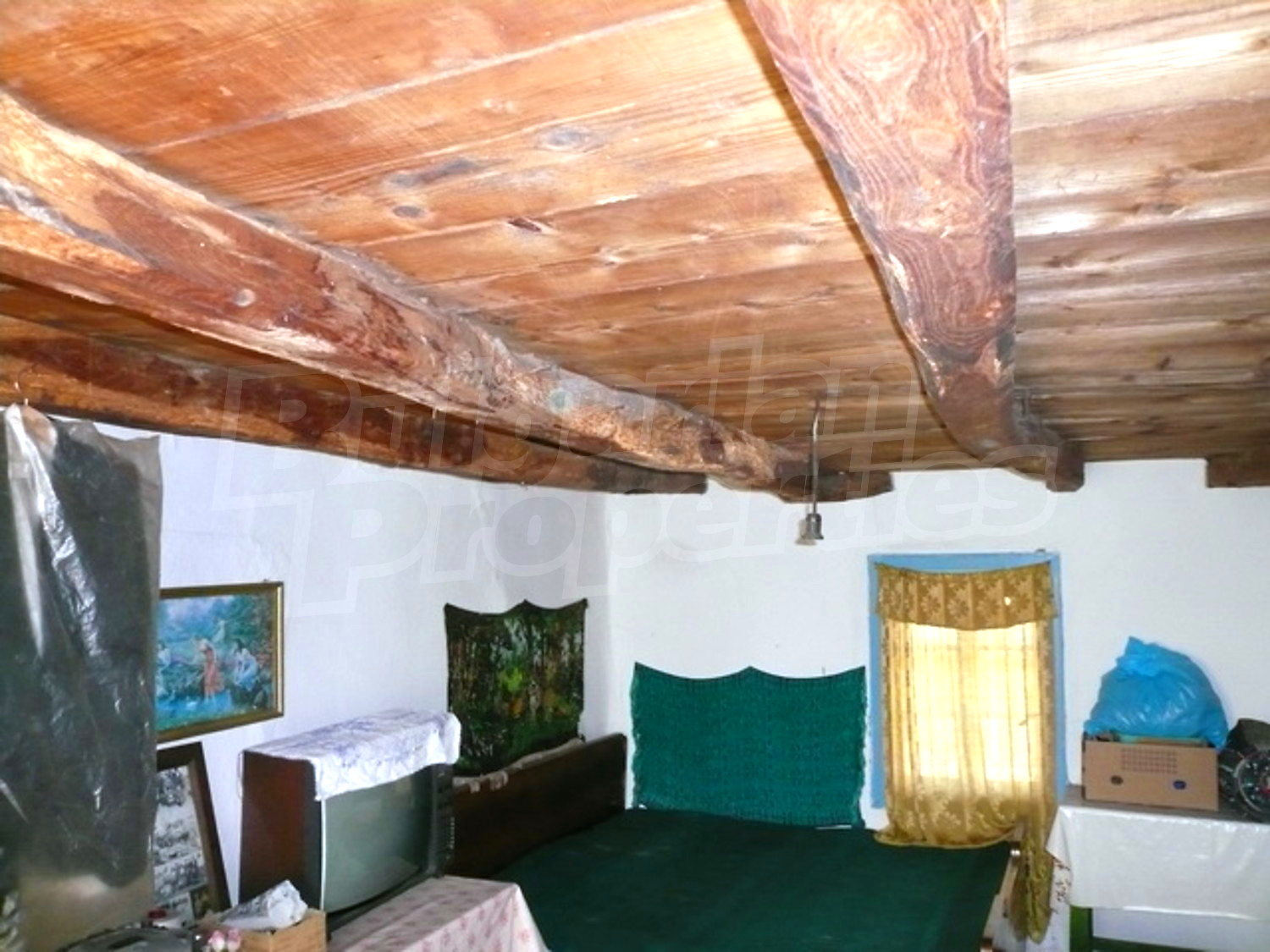 Gallery Picture 11
