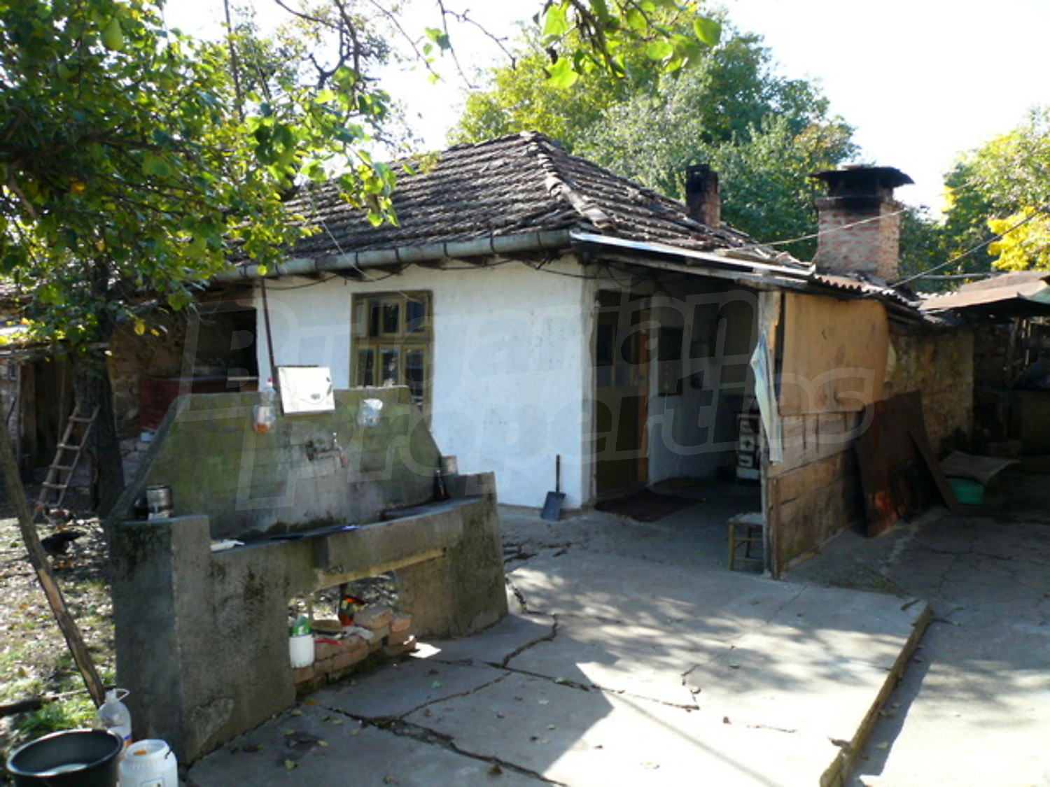 Gallery Picture 12