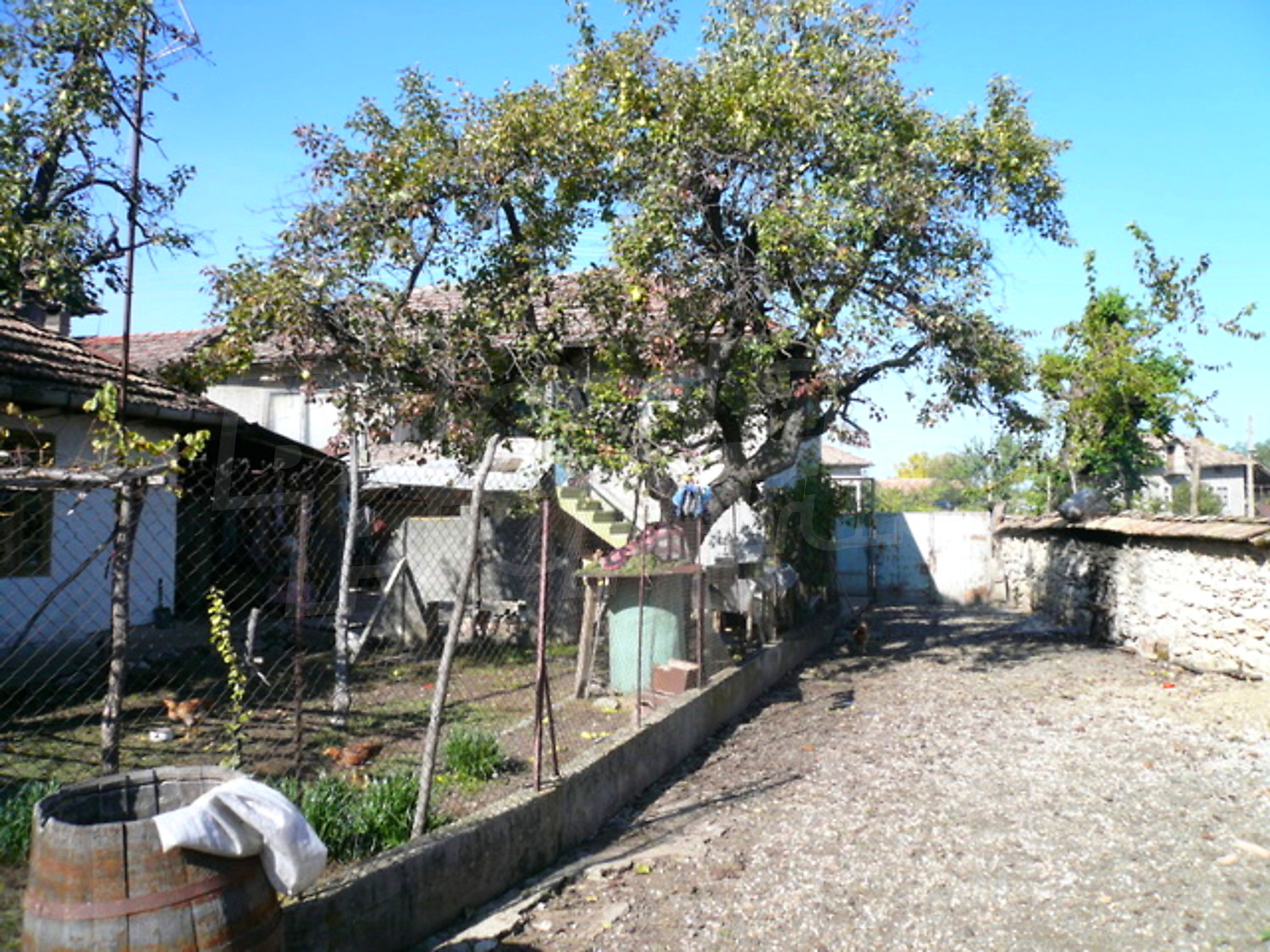 Gallery Picture 14