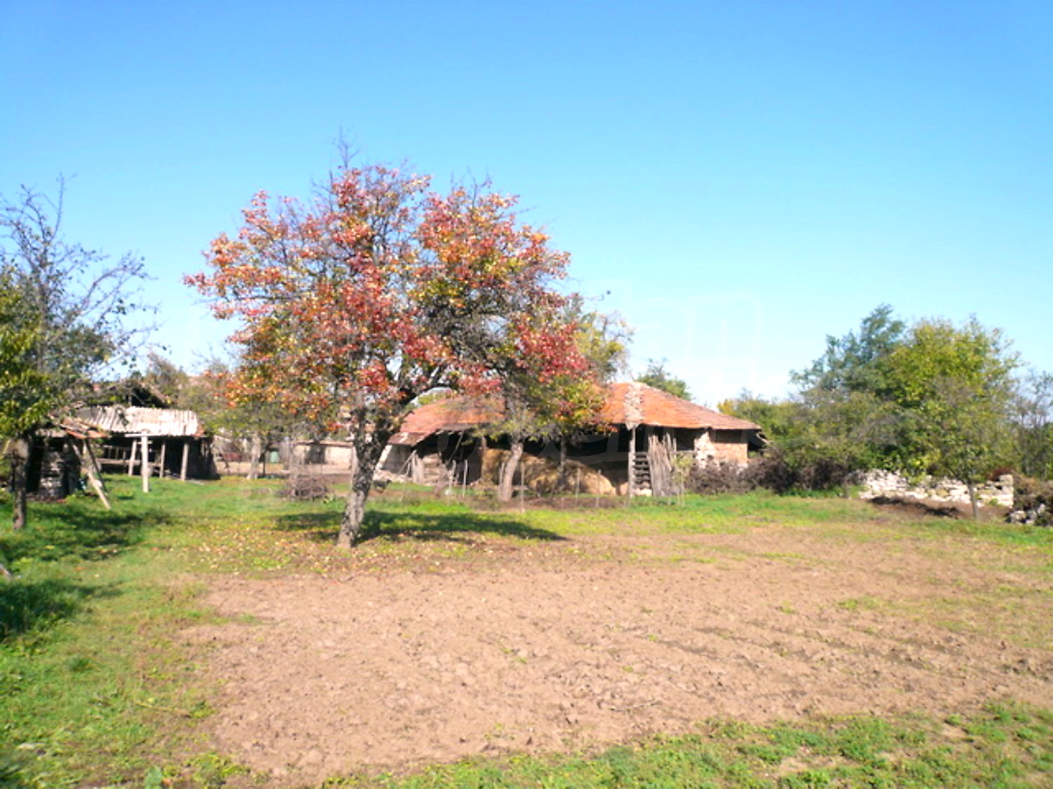 Gallery Picture 16