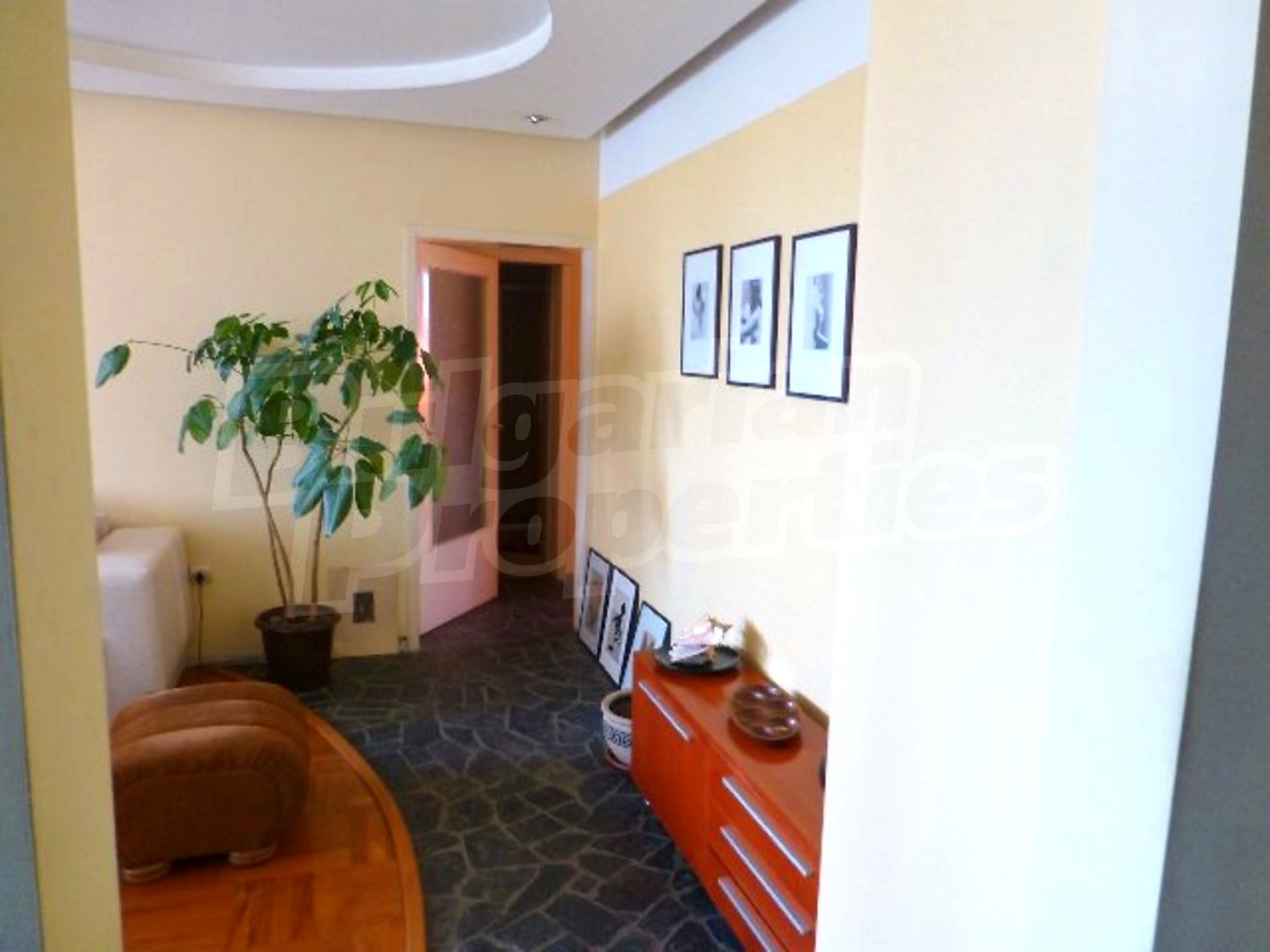 Gallery Picture 11