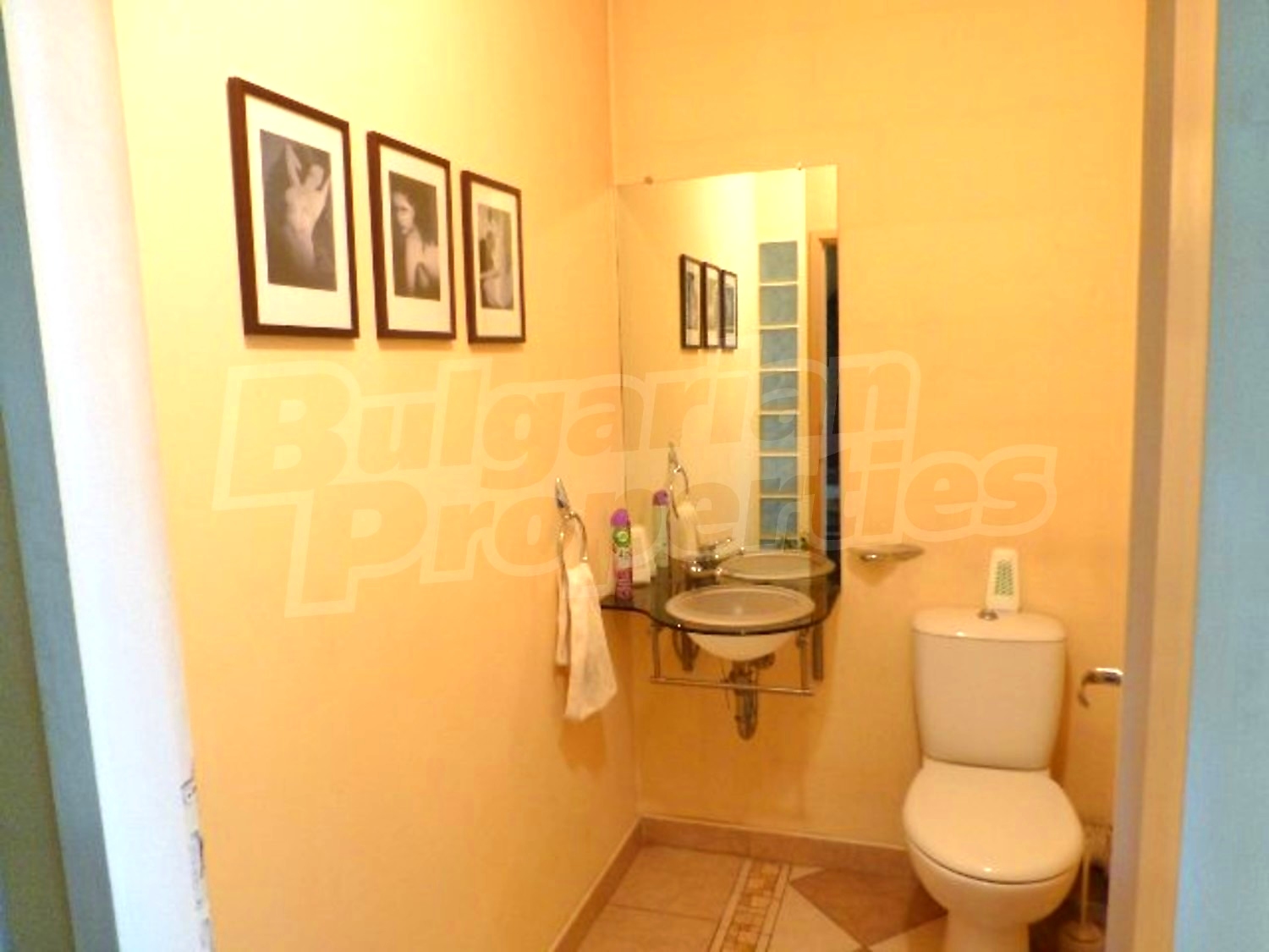 Gallery Picture 12