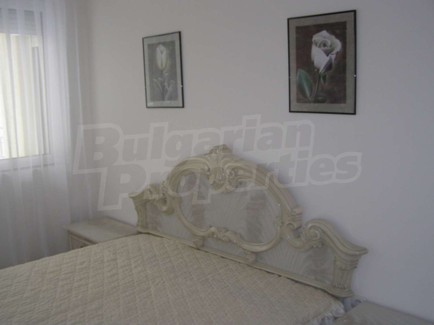 Gallery Picture 14
