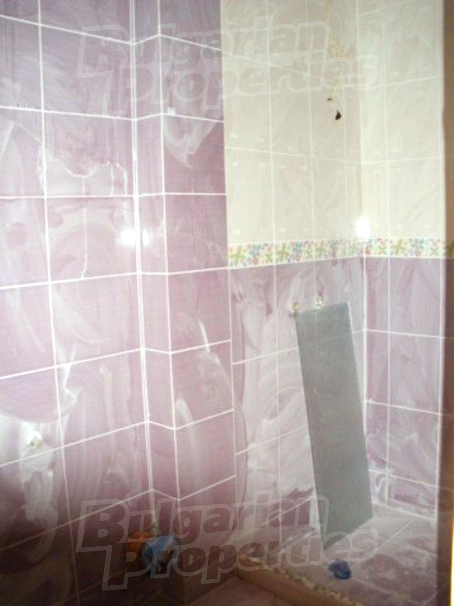 Gallery Picture 12