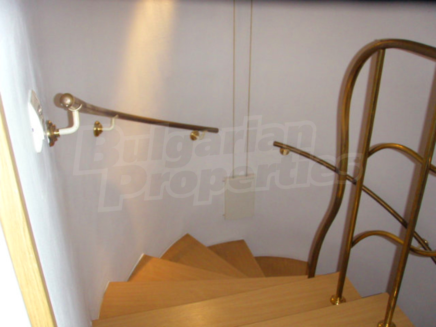 Gallery Picture 16