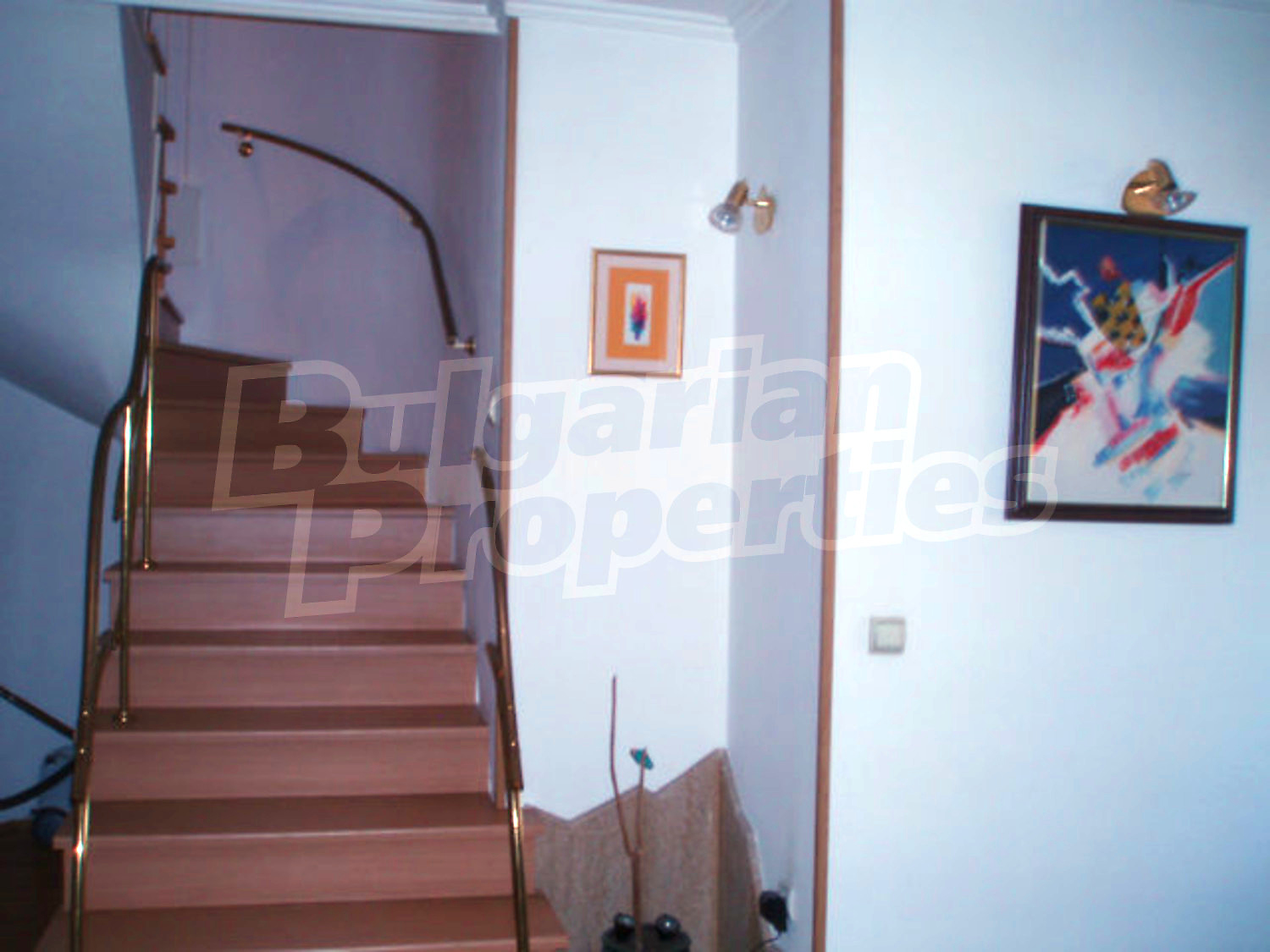 Gallery Picture 17