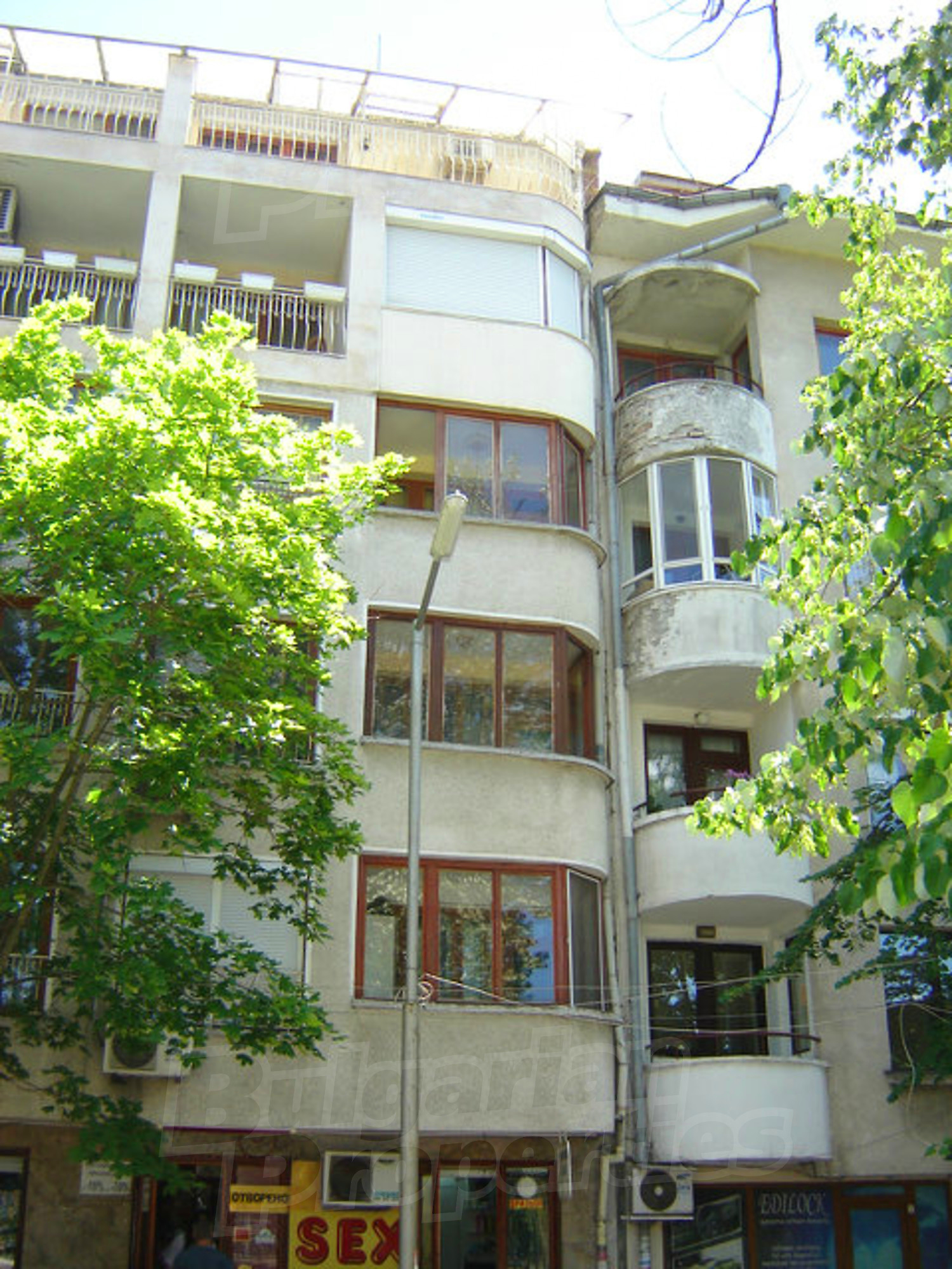 Gallery Picture 6
