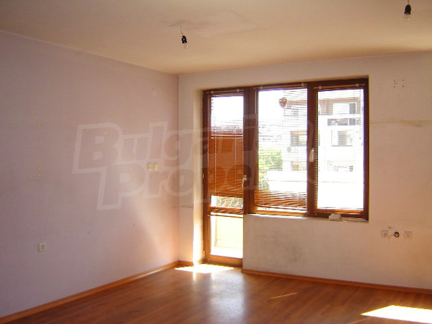 Gallery Picture 12