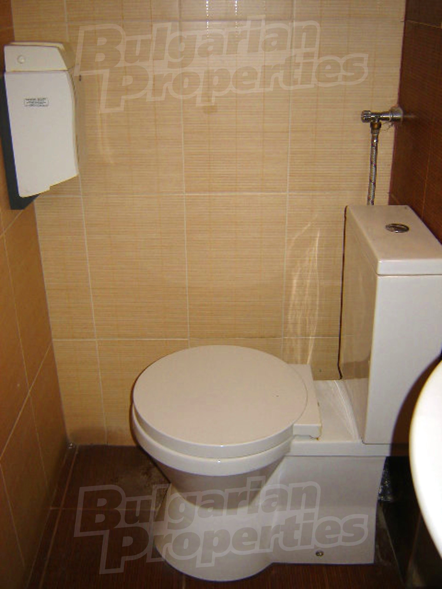 Gallery Picture 17