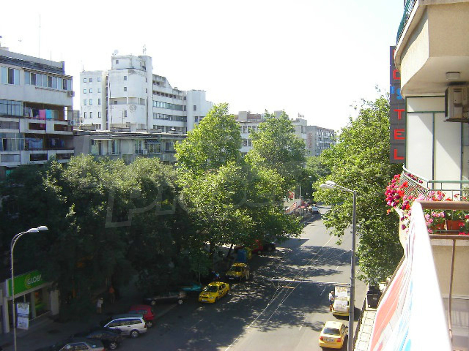 Gallery Picture 23
