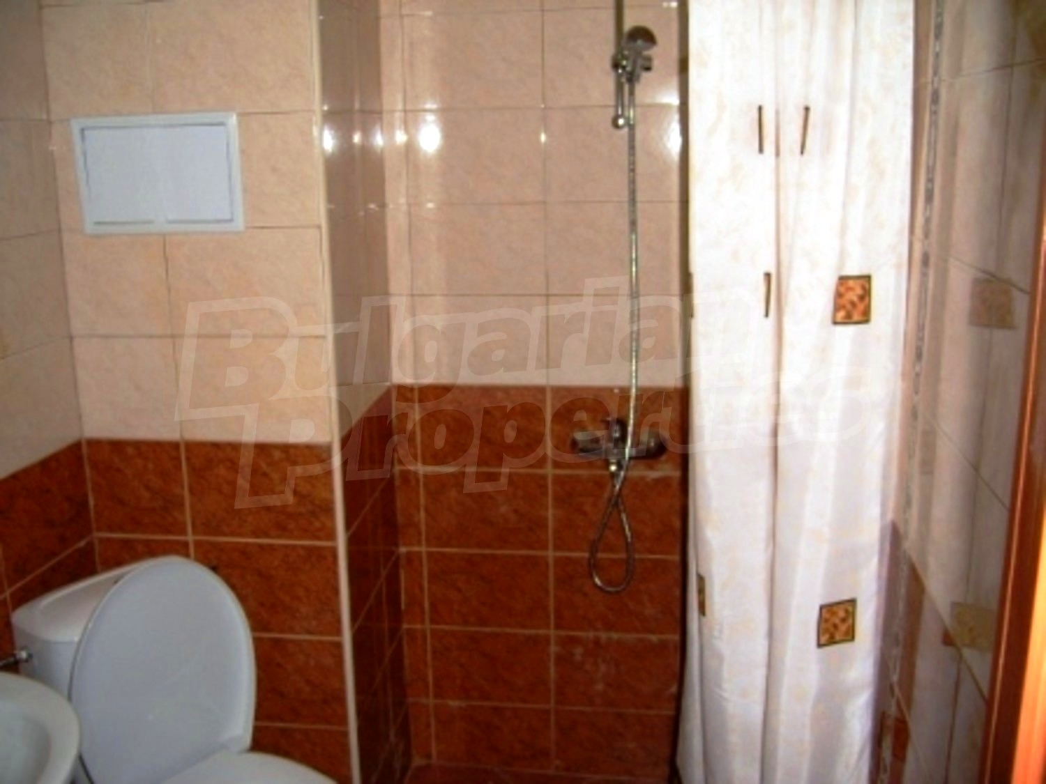 Gallery Picture 12