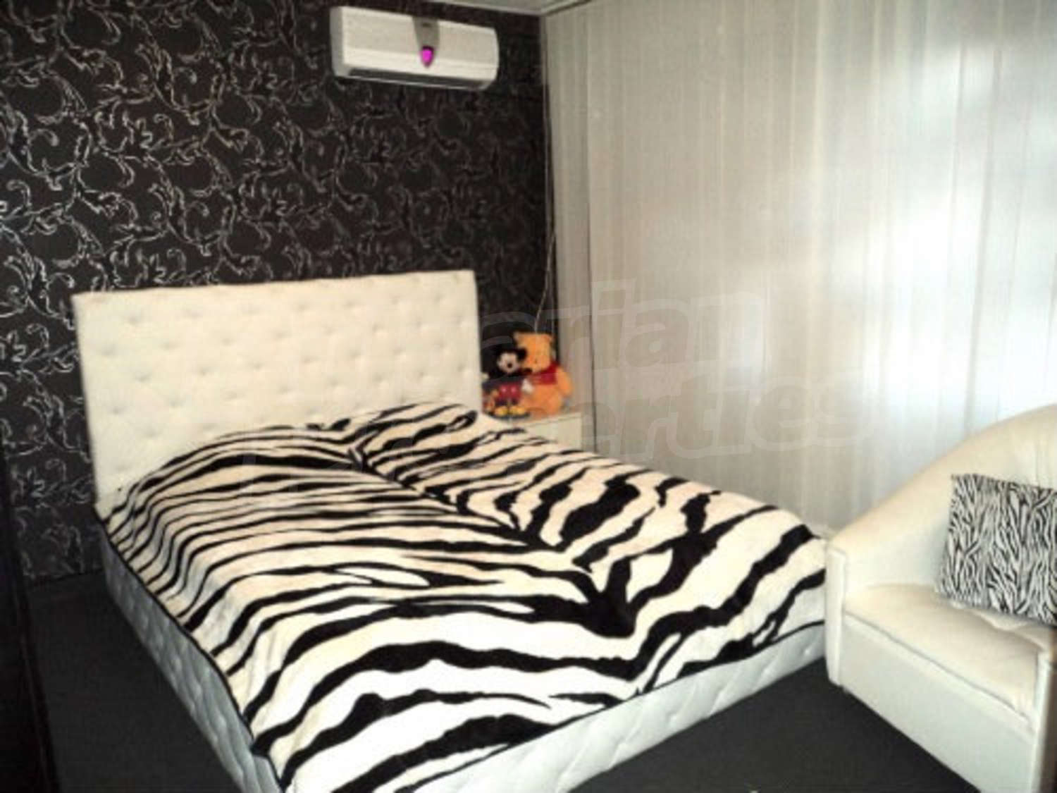 Gallery Picture 37