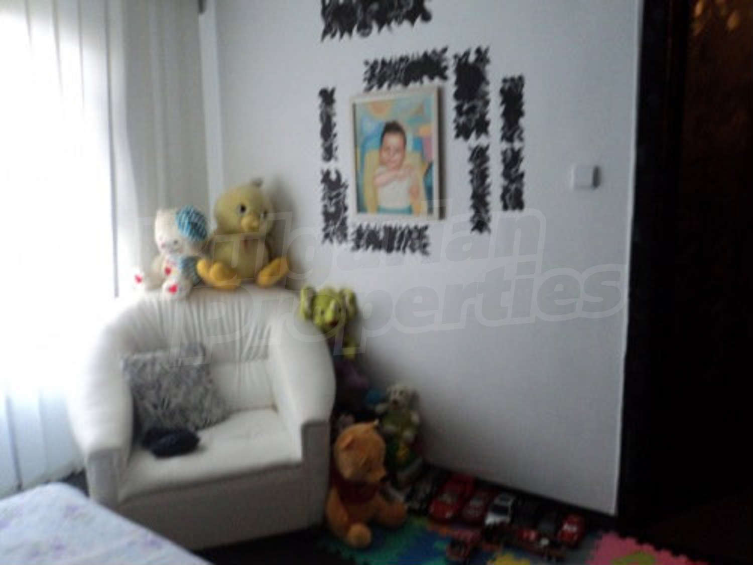 Gallery Picture 38