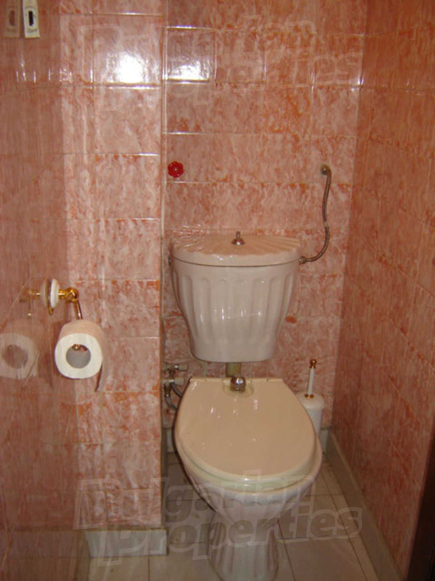 Gallery Picture 15