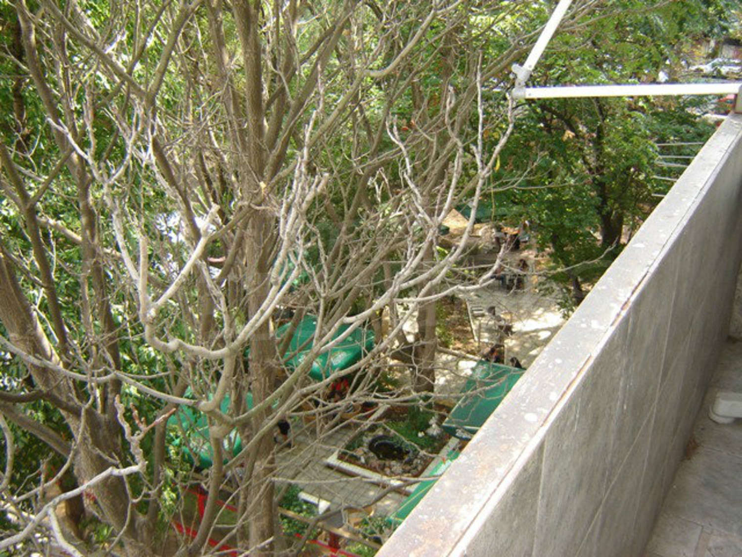 Gallery Picture 16
