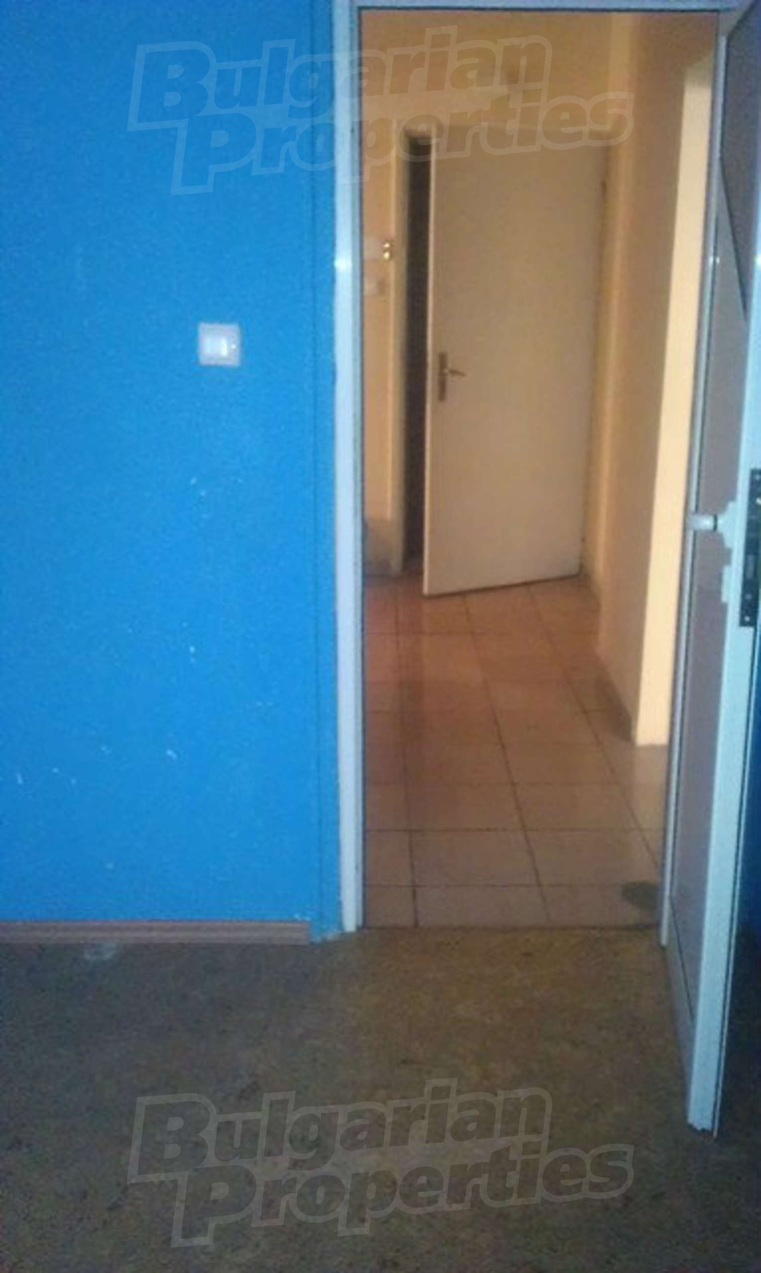 Gallery Picture 19