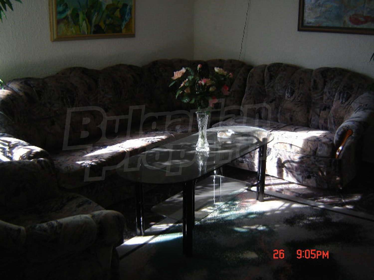 Gallery Picture 19