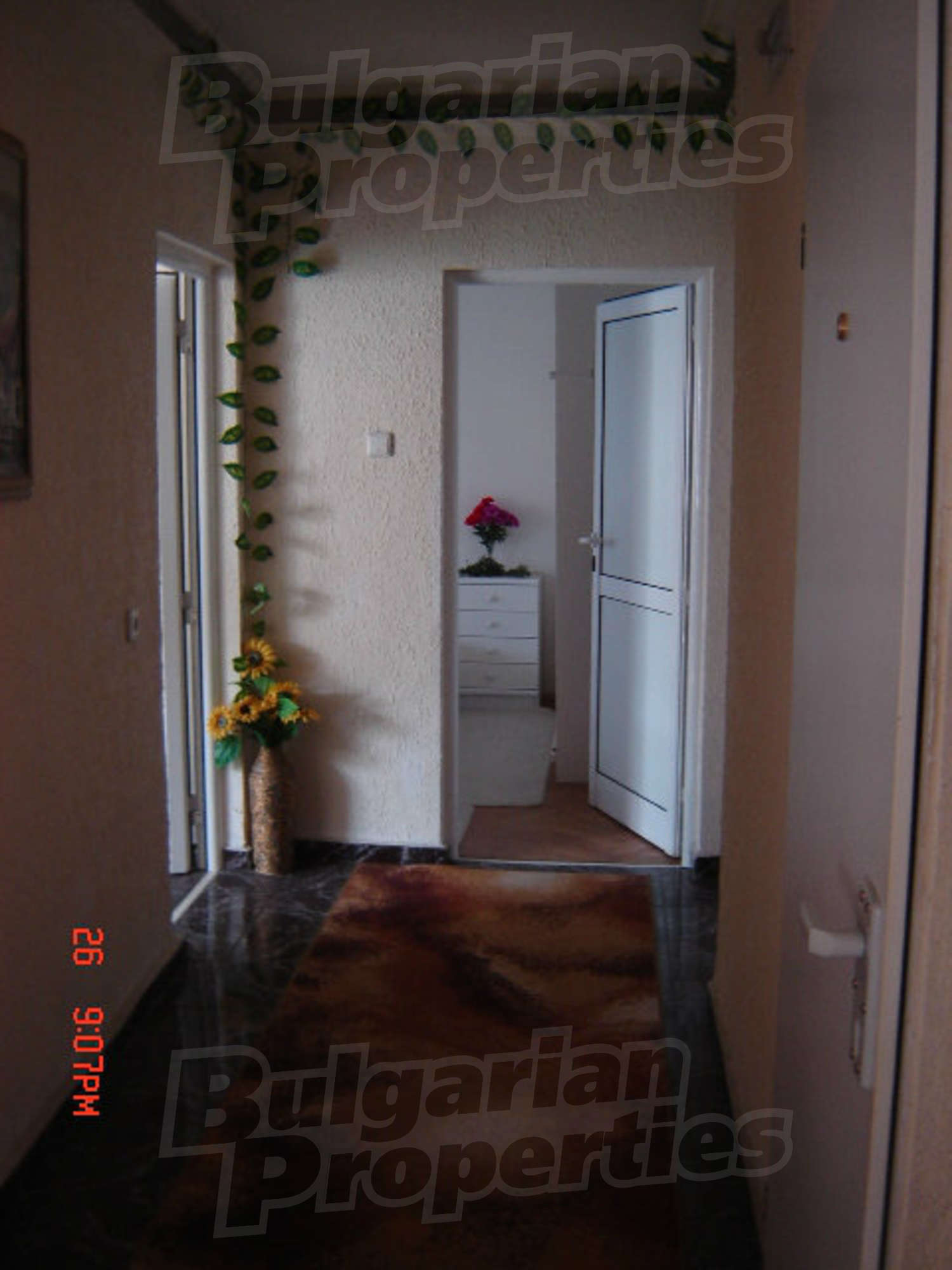 Gallery Picture 23