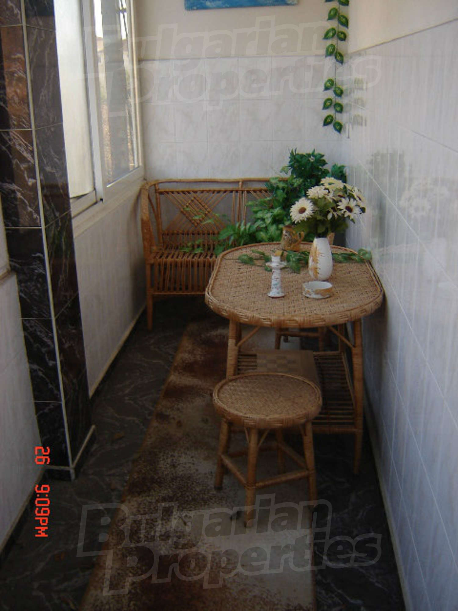 Gallery Picture 29