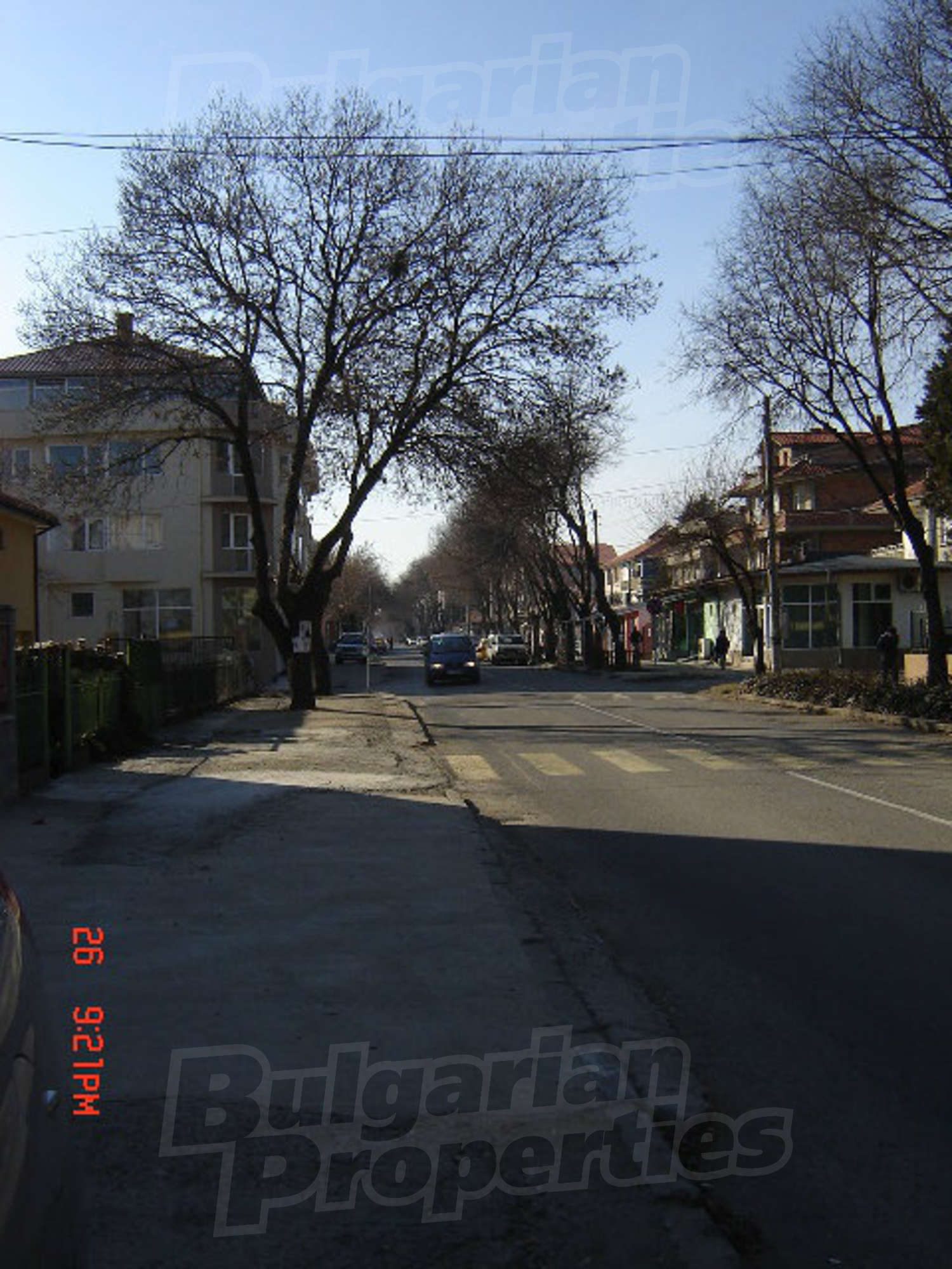 Gallery Picture 36