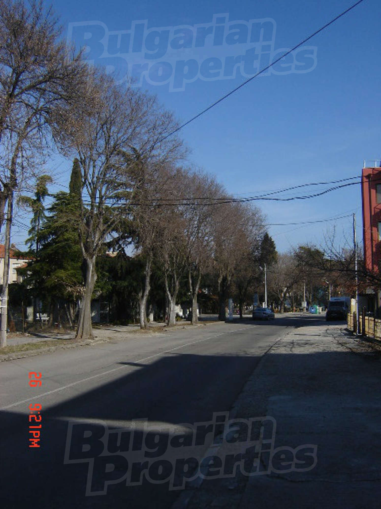 Gallery Picture 37