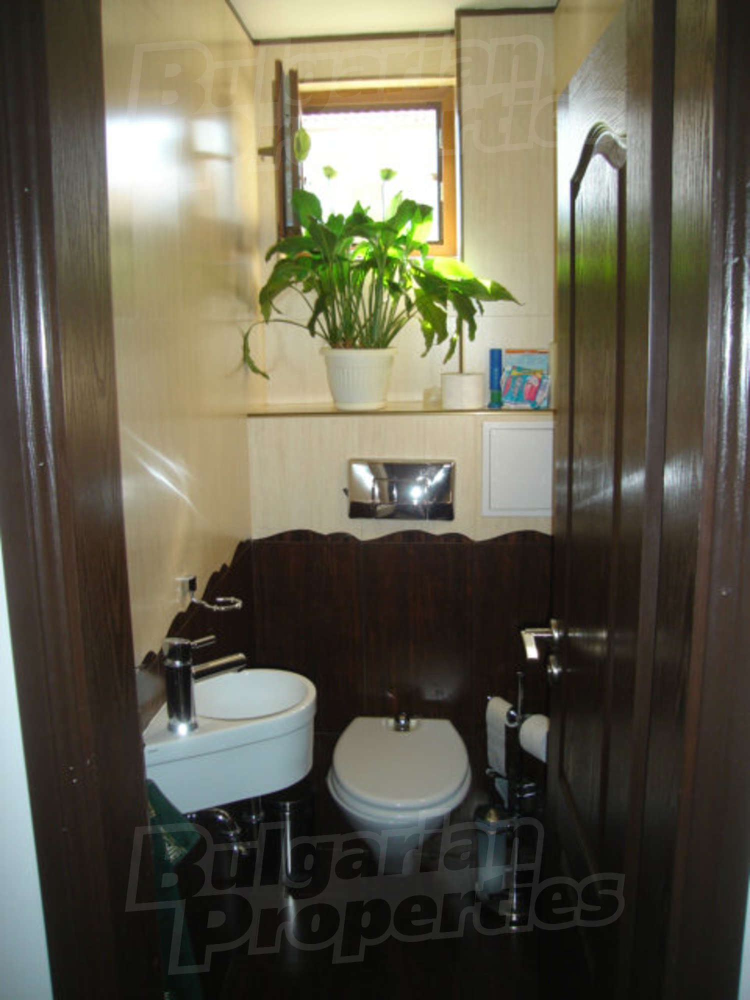 Gallery Picture 18