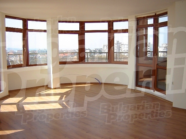 Gallery Picture 5