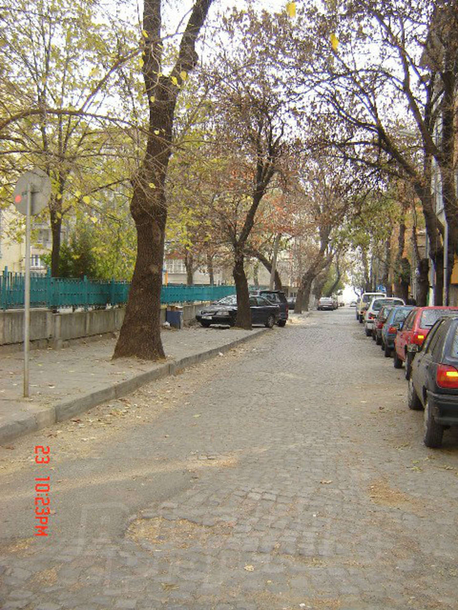 Gallery Picture 17