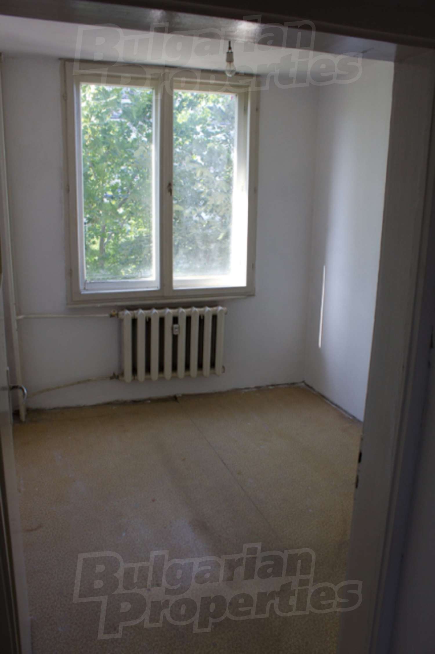 Gallery Picture 2