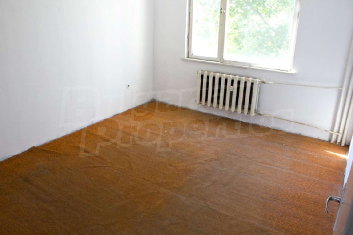 Gallery Picture 4