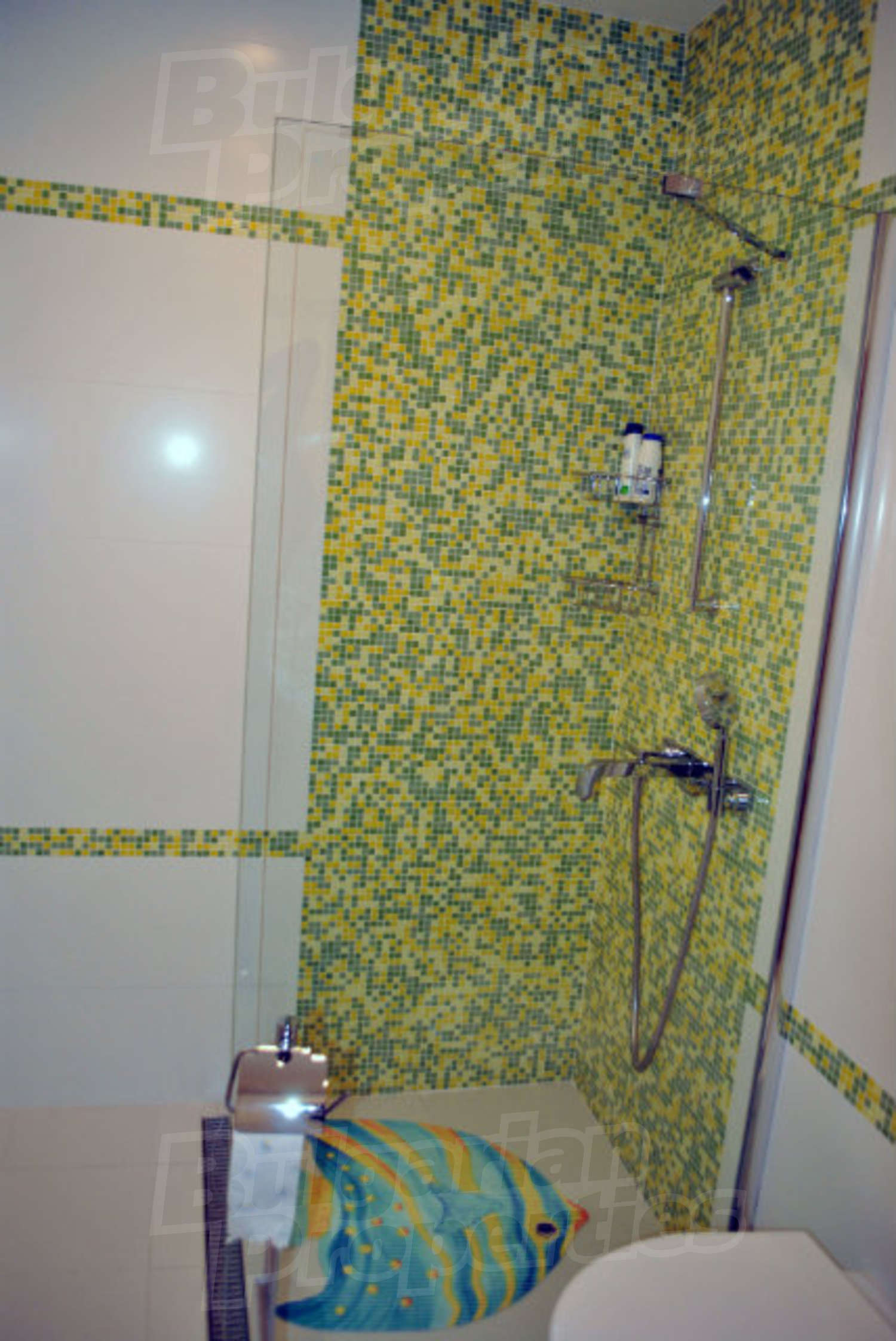 Gallery Picture 21
