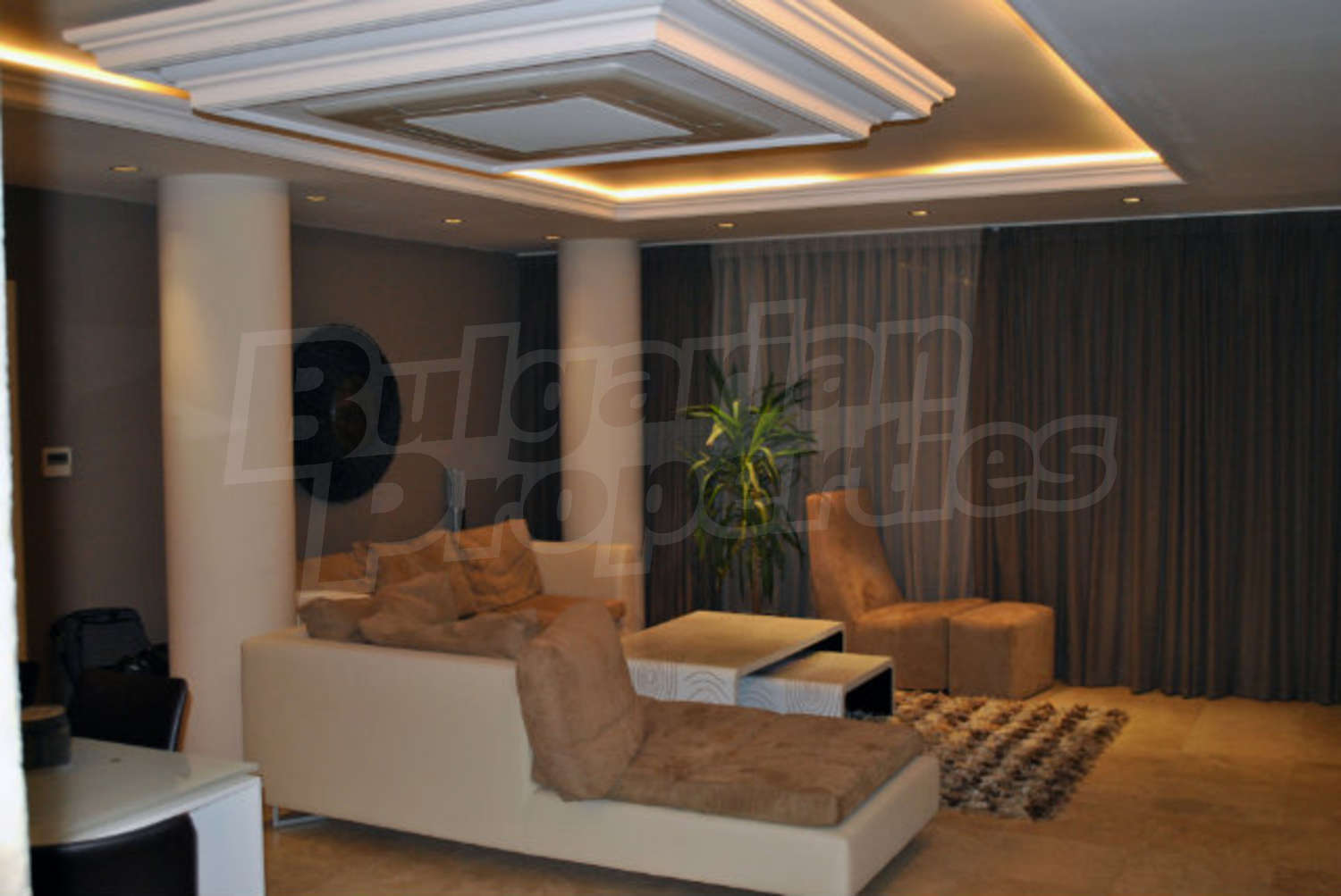 Gallery Picture 7