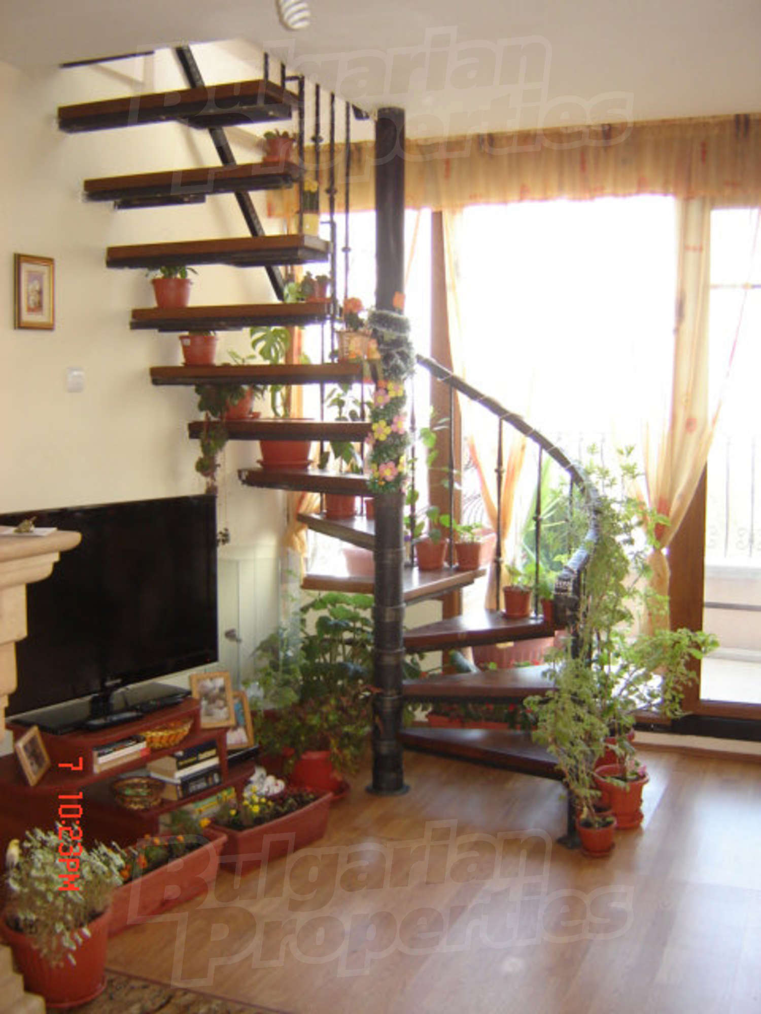 Gallery Picture 23