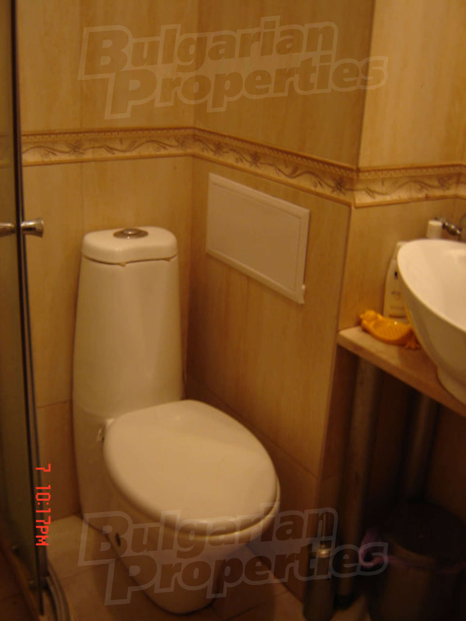 Gallery Picture 31