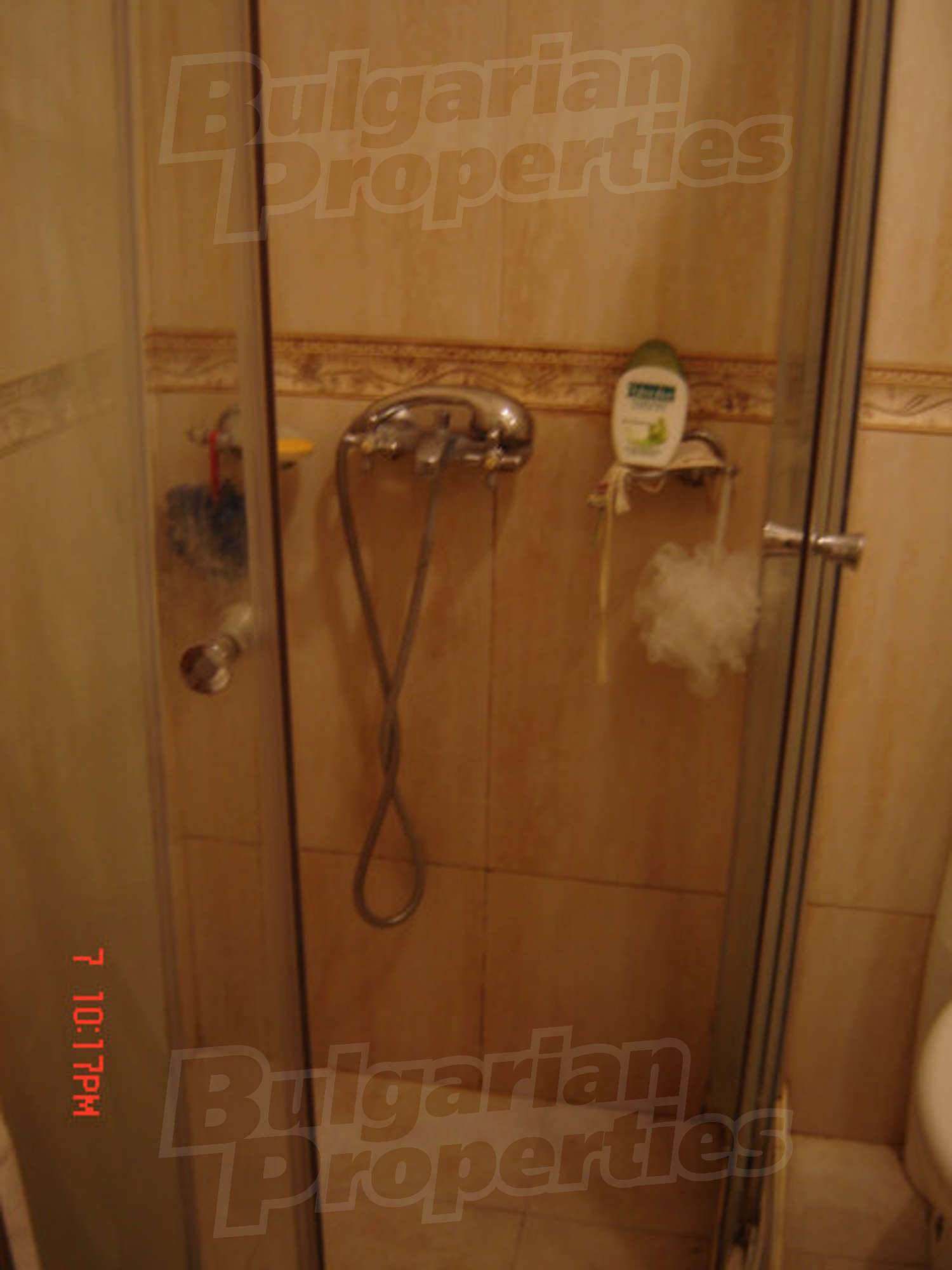 Gallery Picture 34