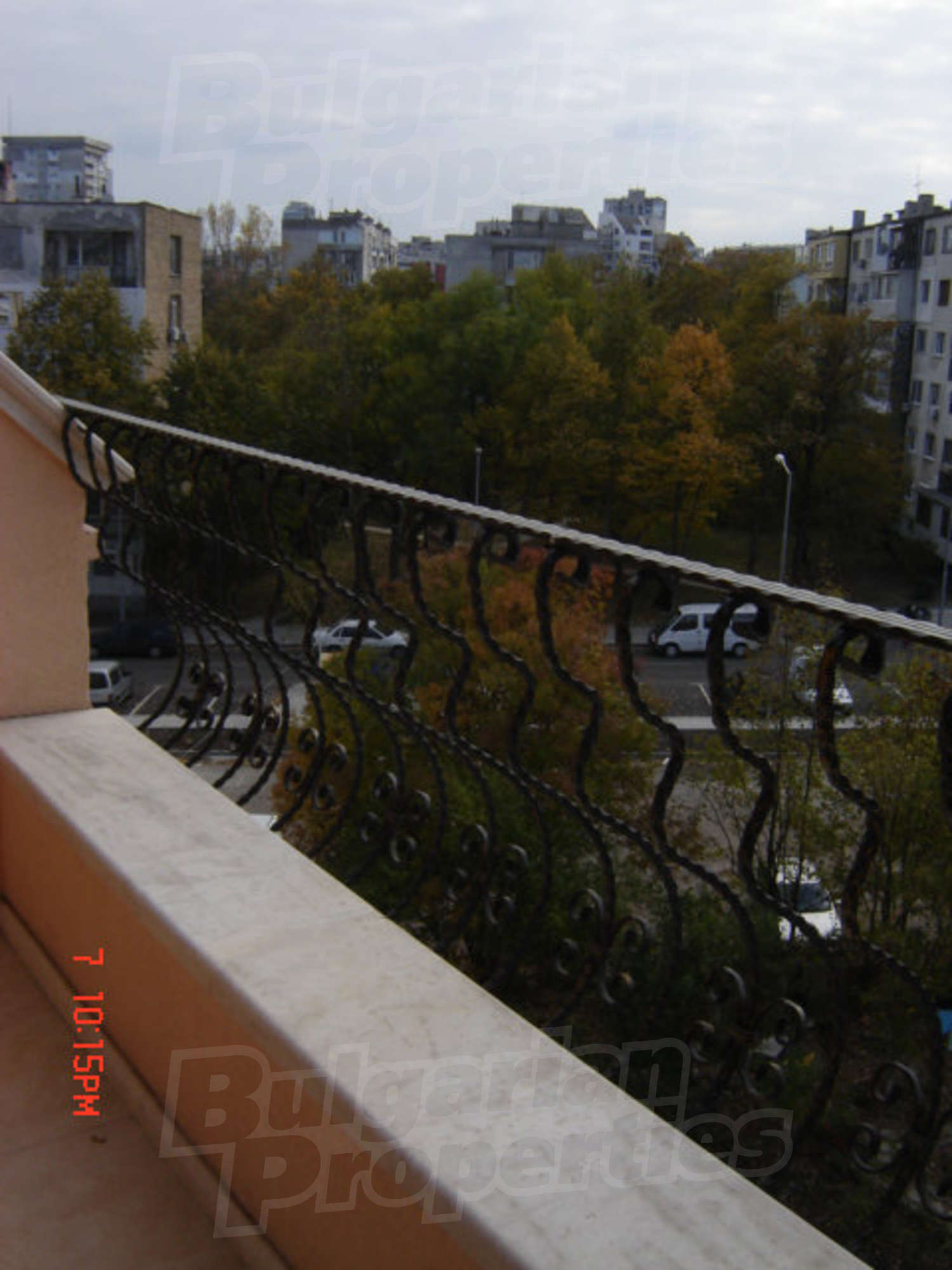 Gallery Picture 38
