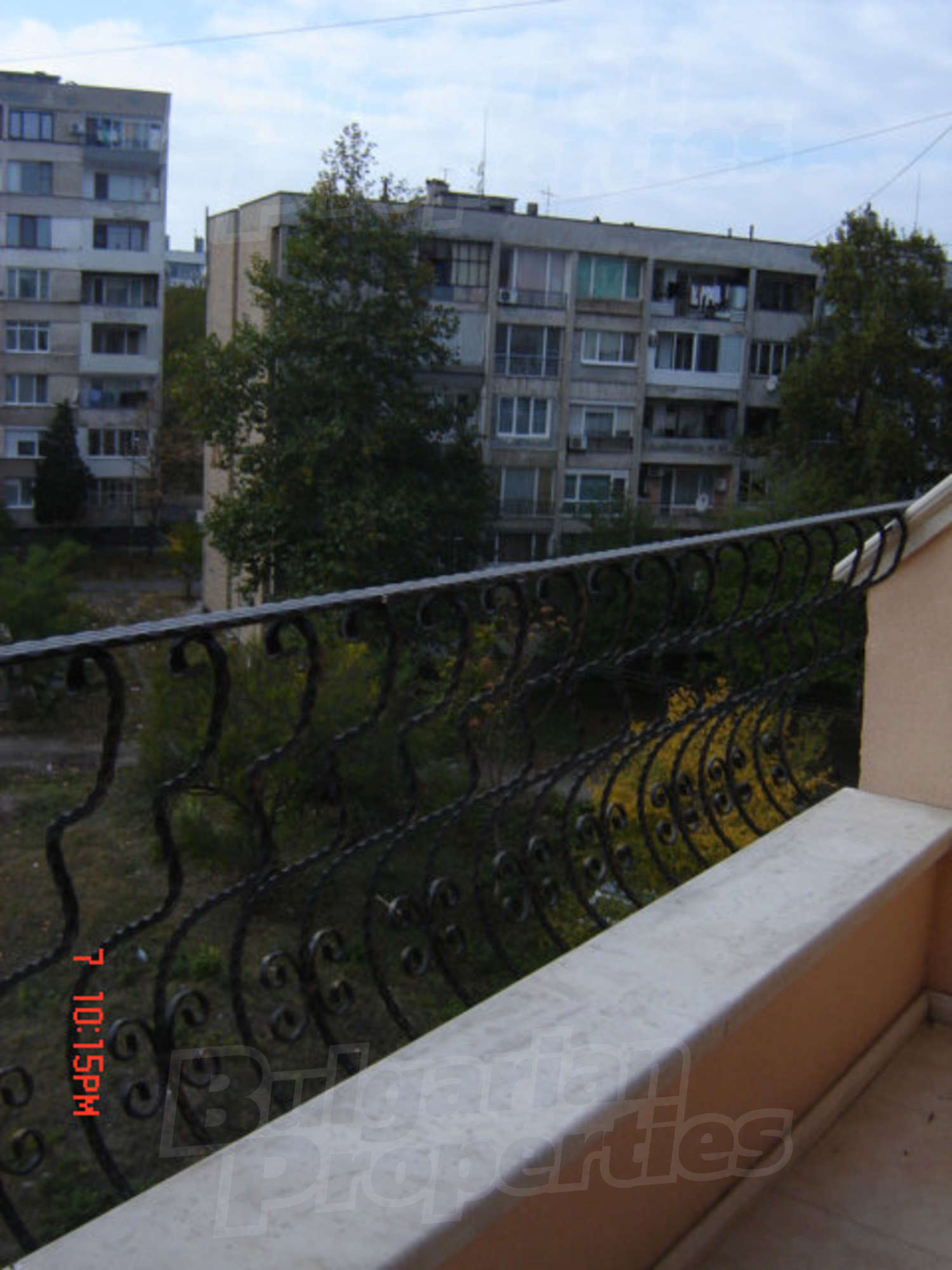 Gallery Picture 39