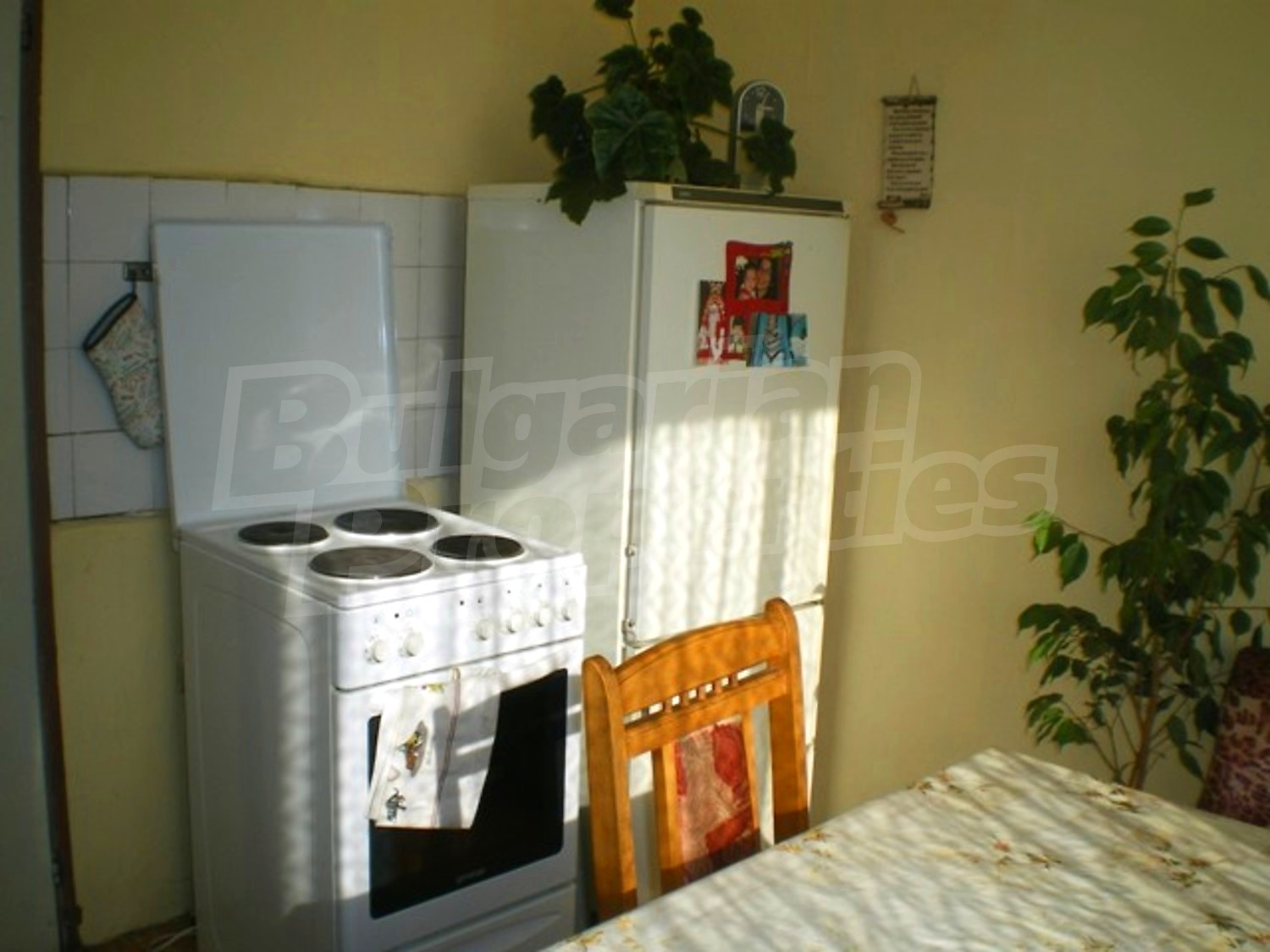 Gallery Picture 5