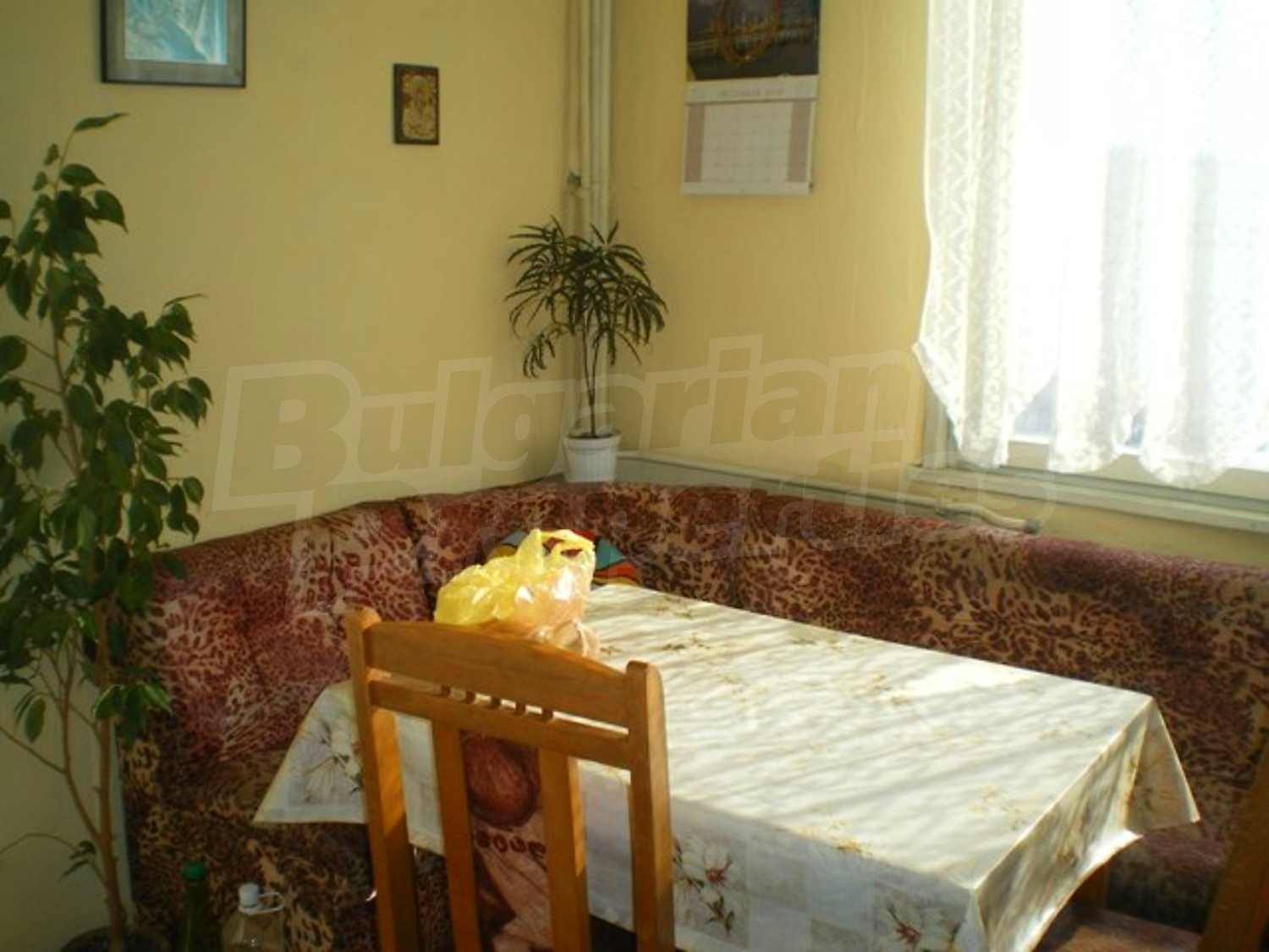 Gallery Picture 6