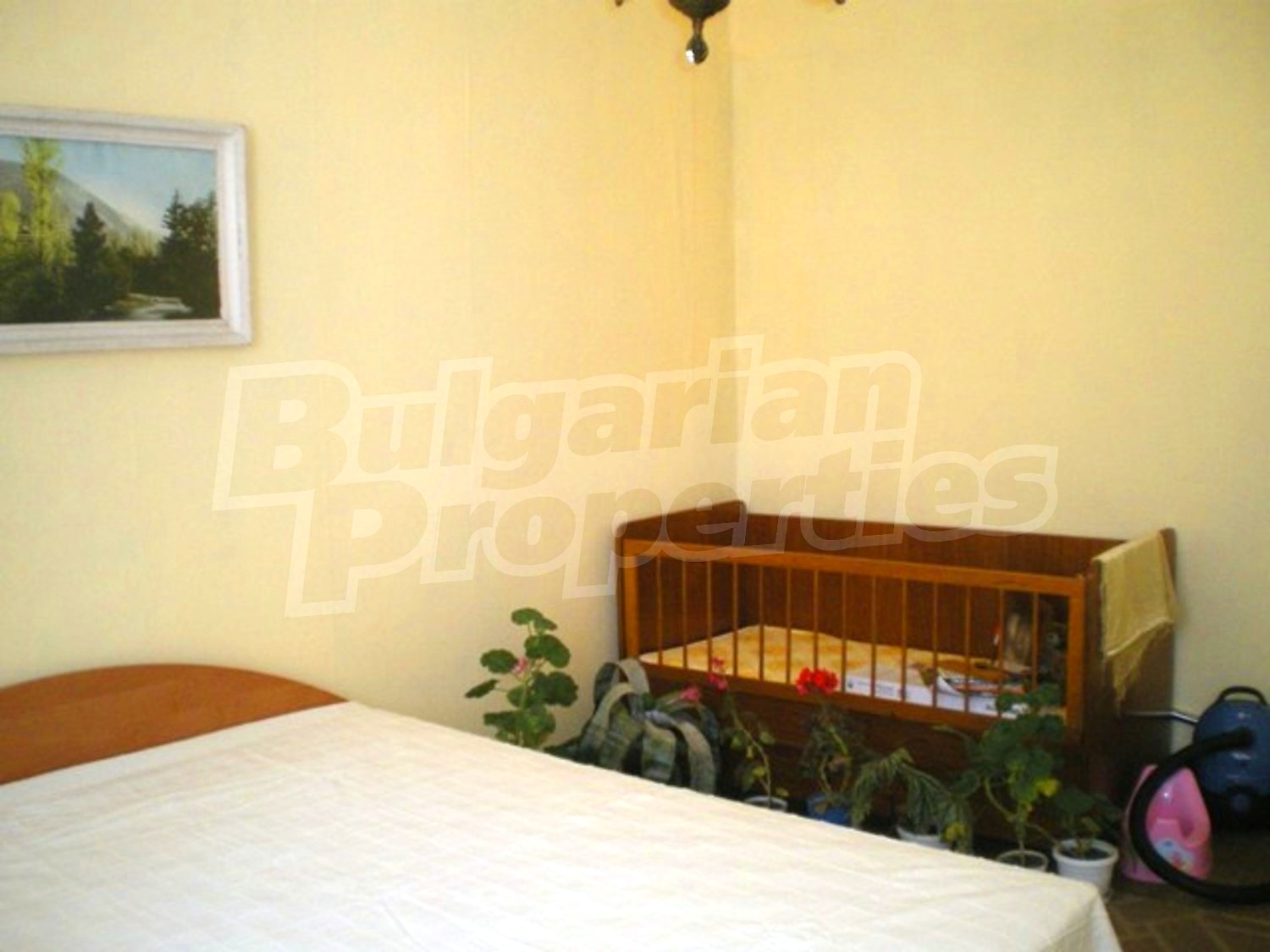 Gallery Picture 9
