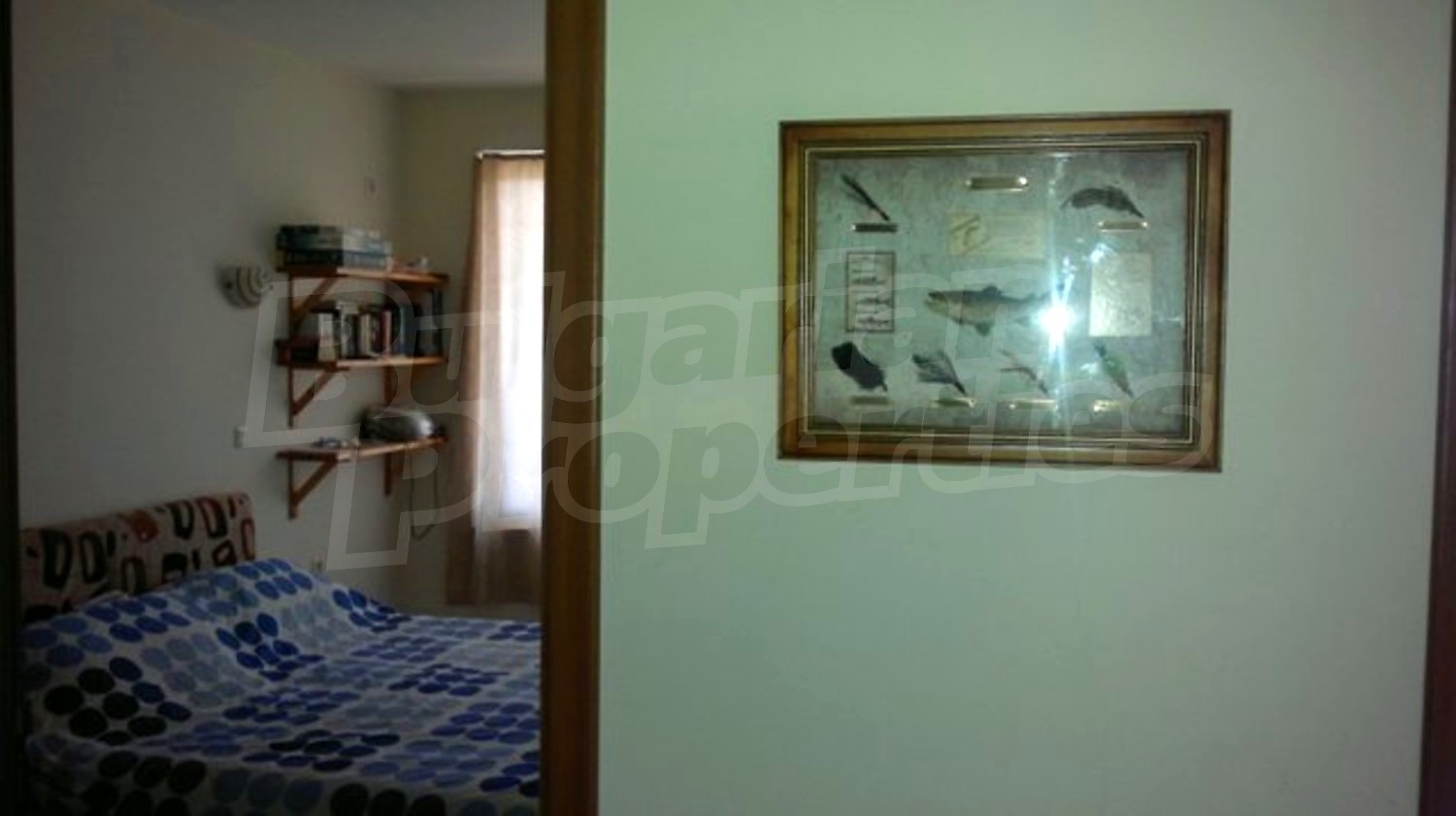 Gallery Picture 14