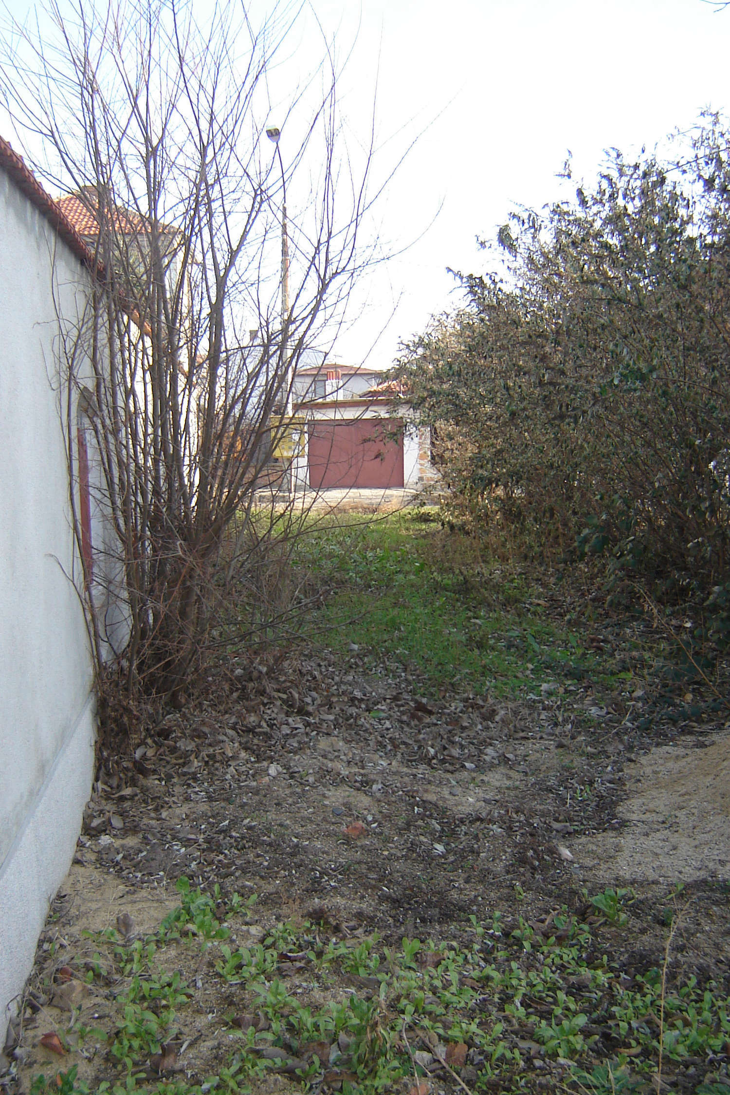Gallery Picture 13