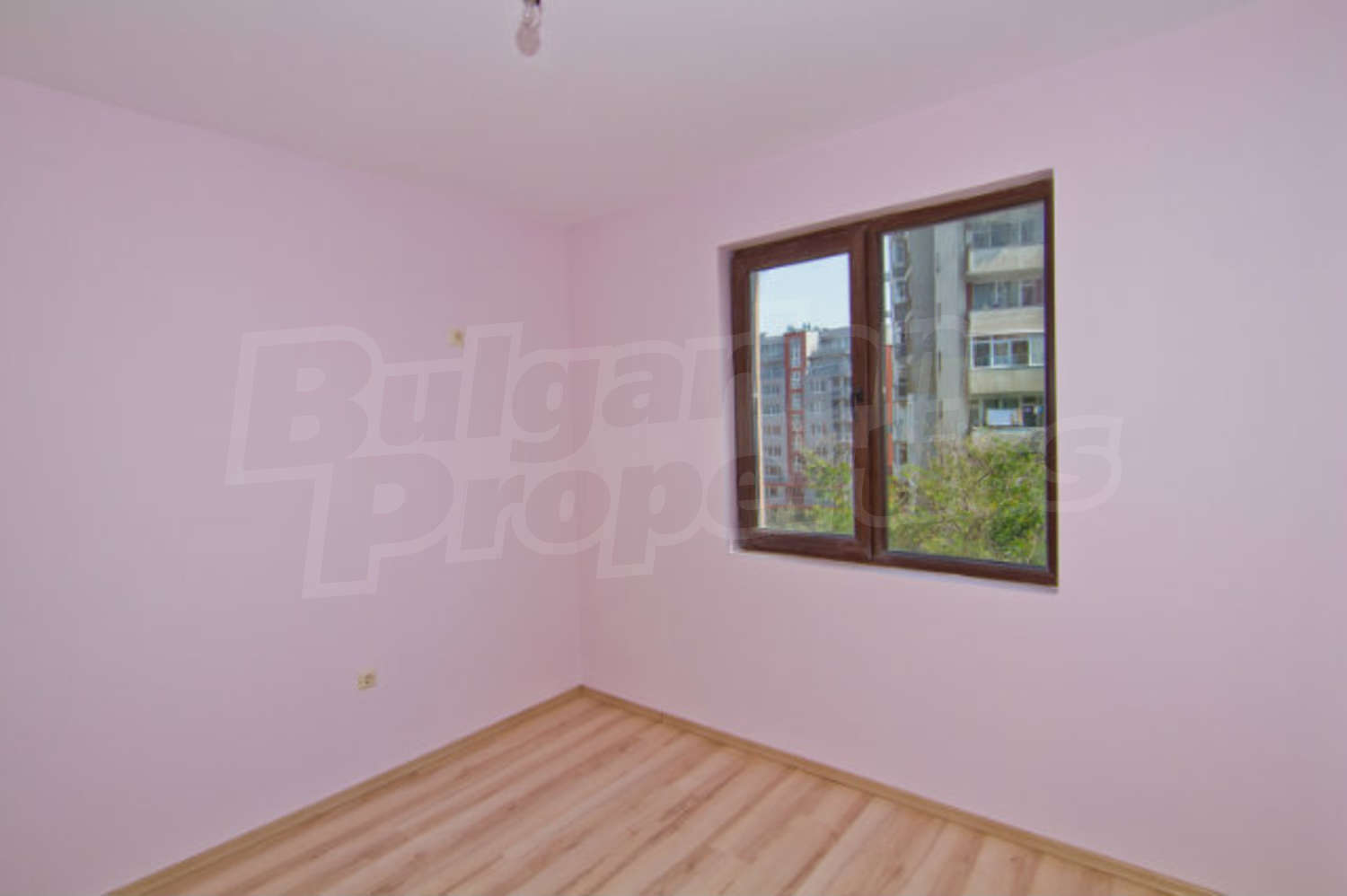 Gallery Picture 10