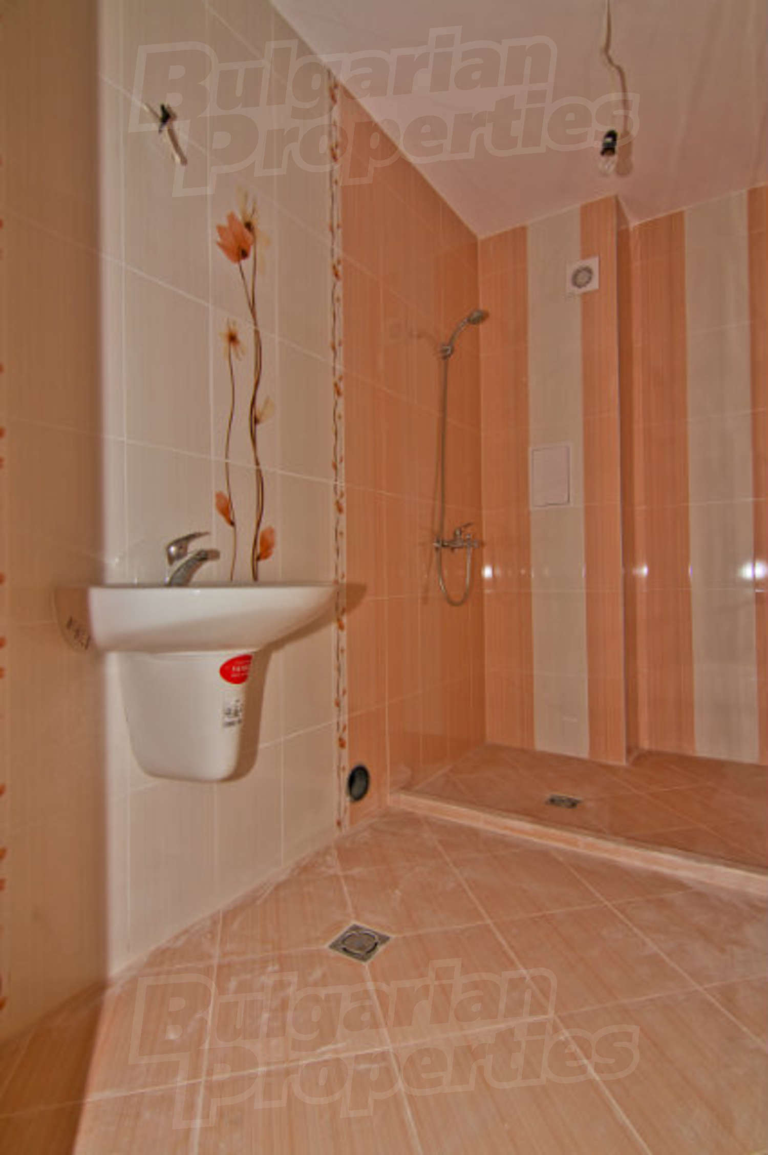 Gallery Picture 11