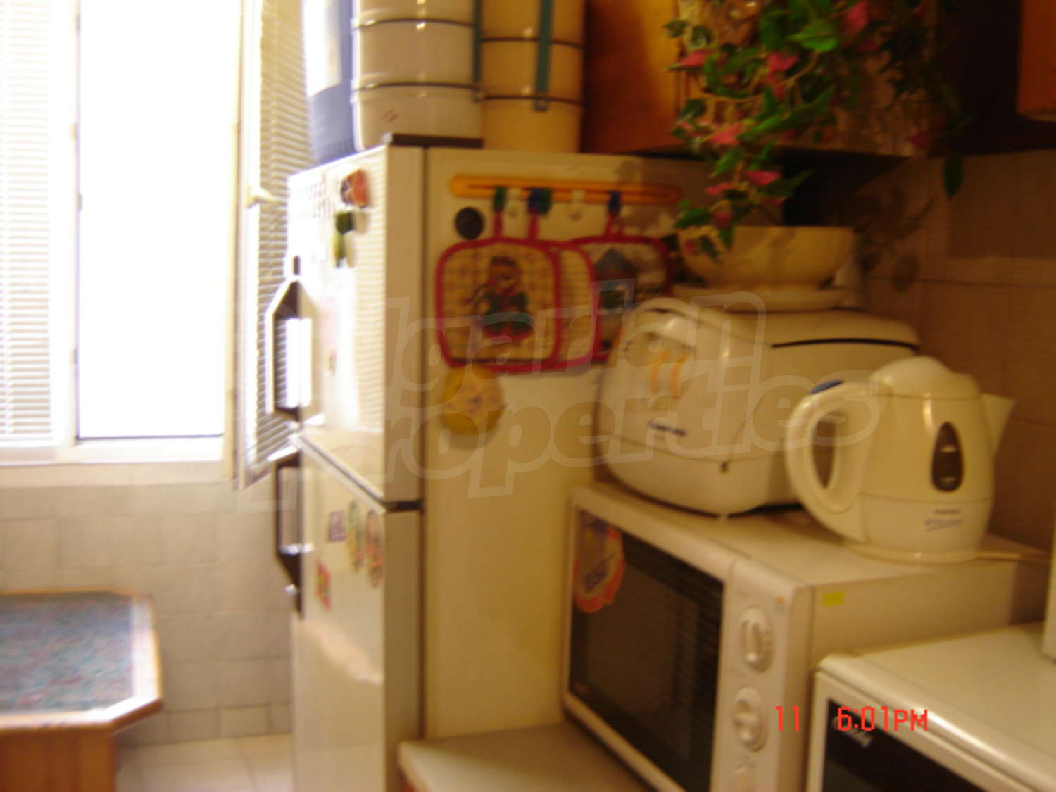 Gallery Picture 13
