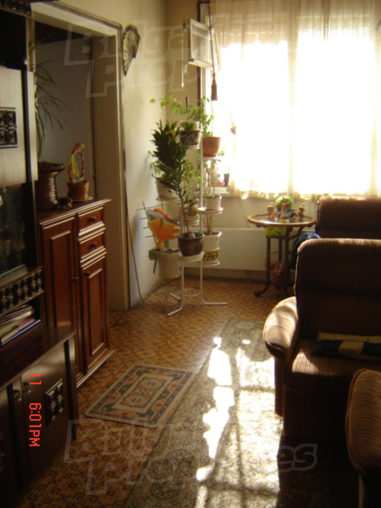 Gallery Picture 16