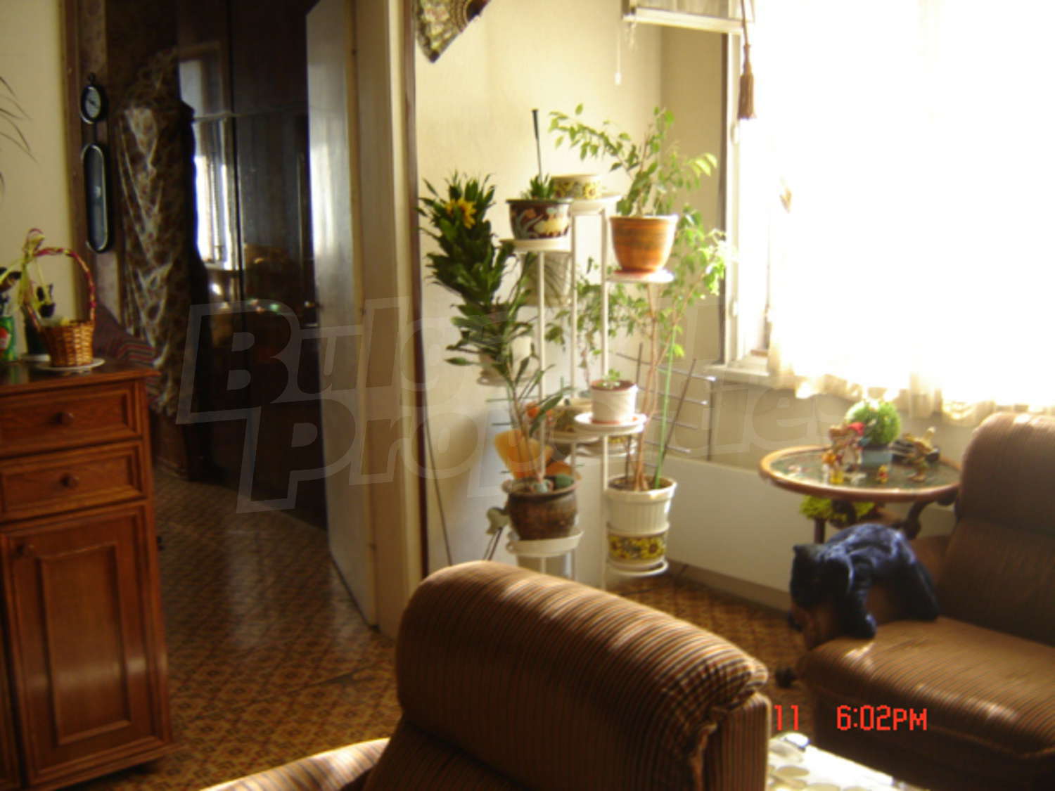 Gallery Picture 20