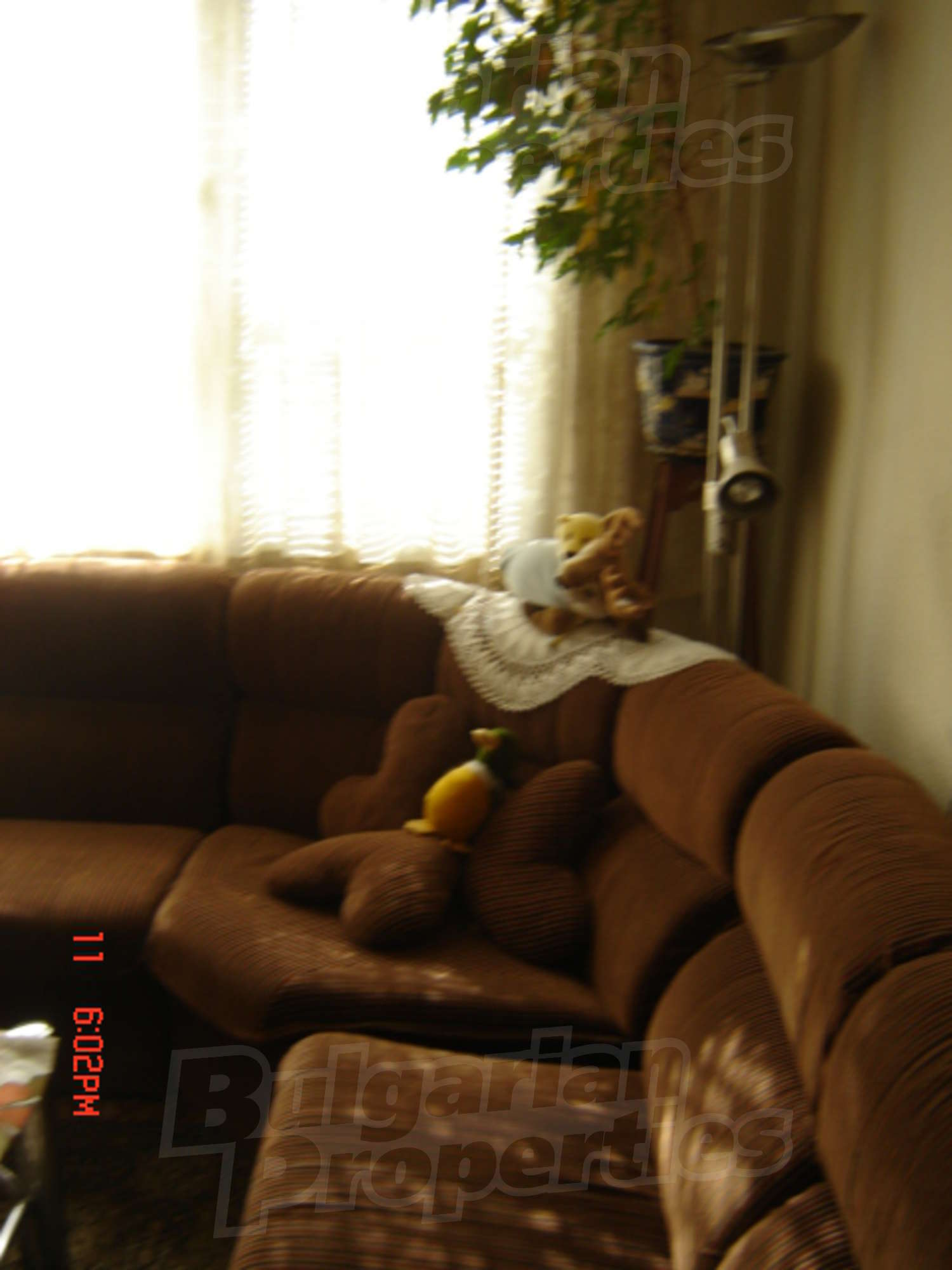 Gallery Picture 21