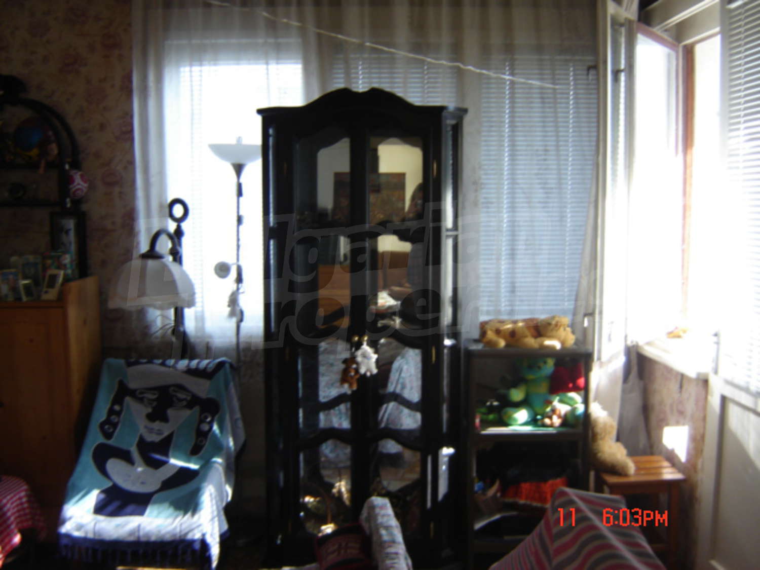 Gallery Picture 22