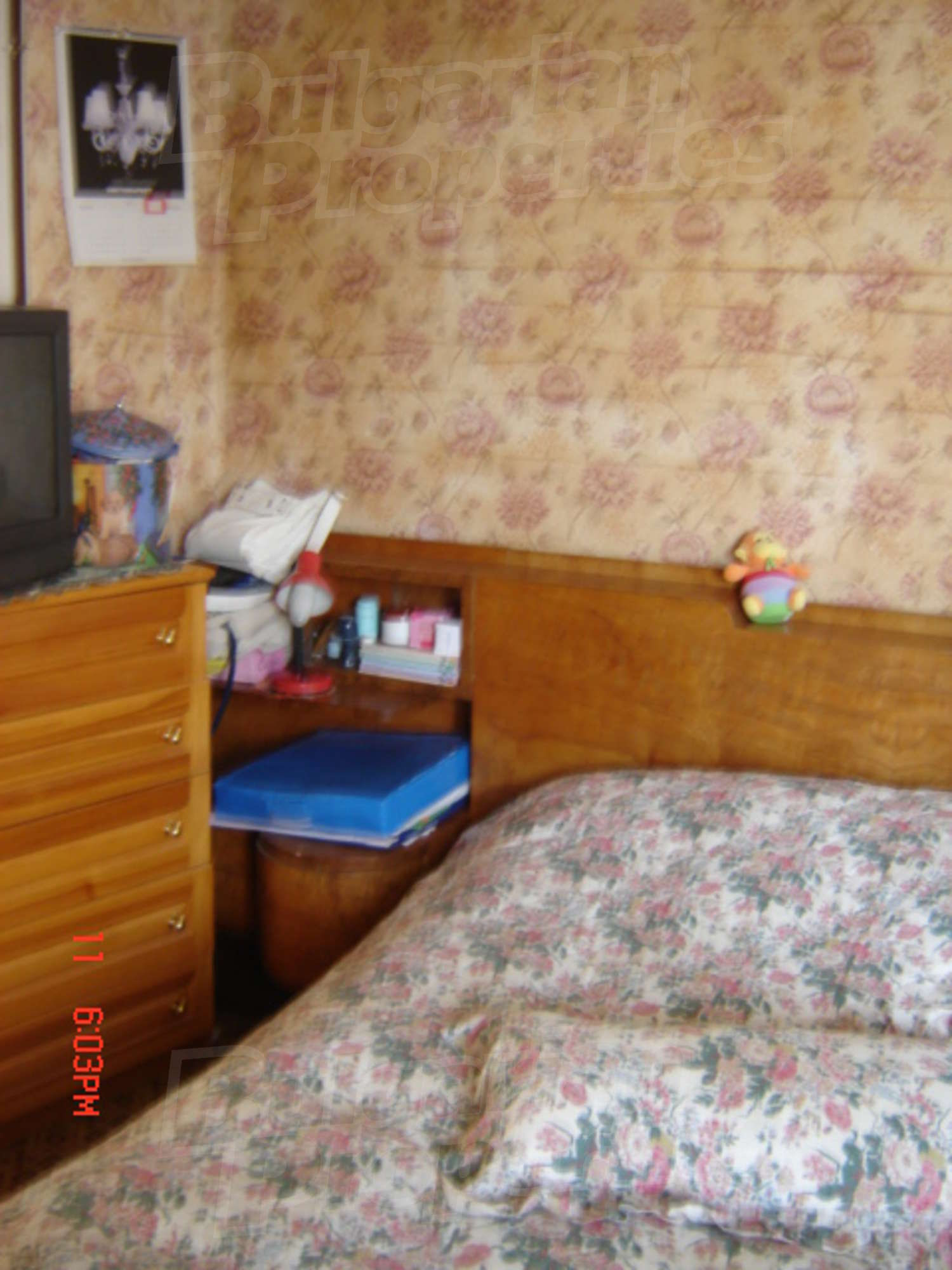 Gallery Picture 26